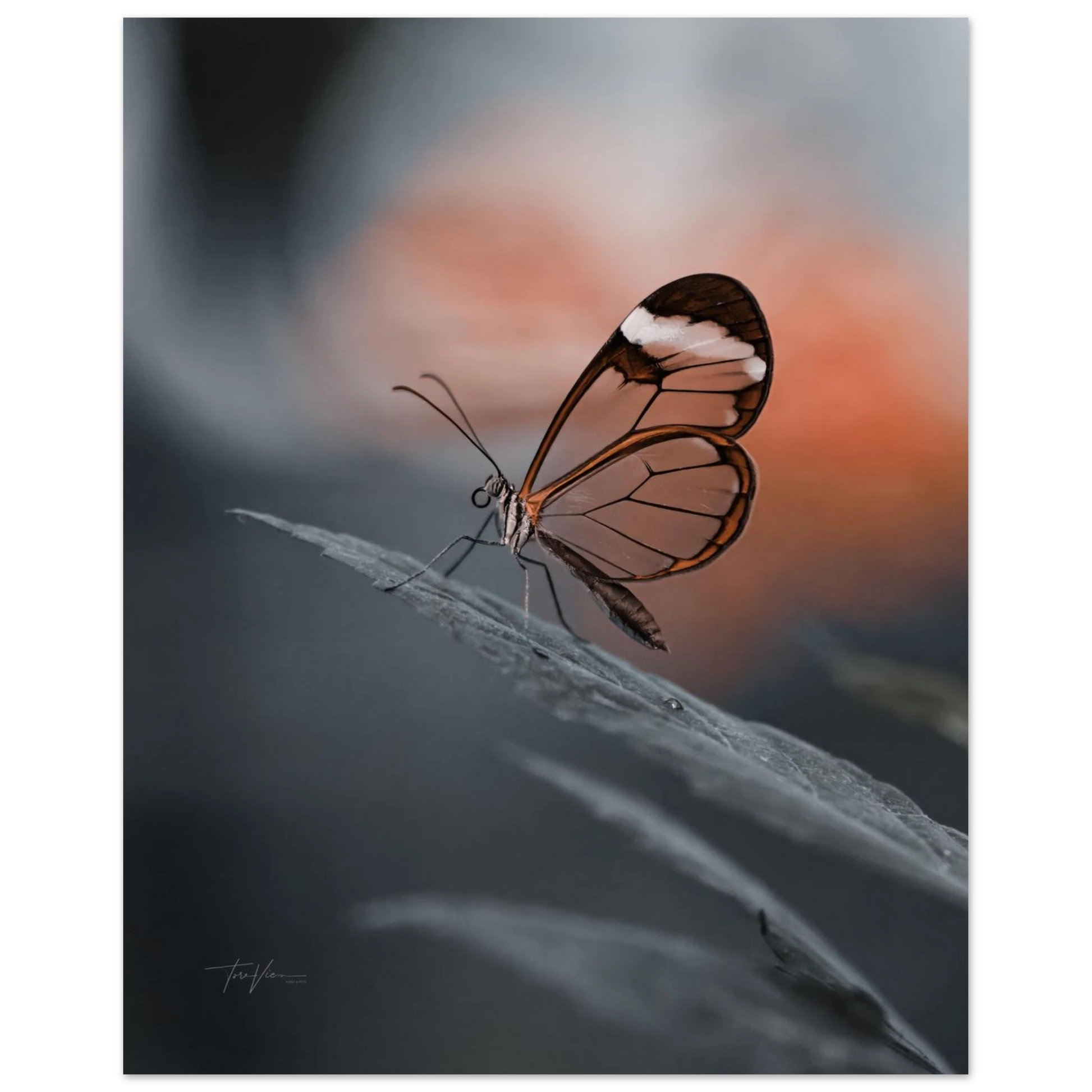 7aa134ec-fe7a-4b73-b2c7-aaad4ca2efb4