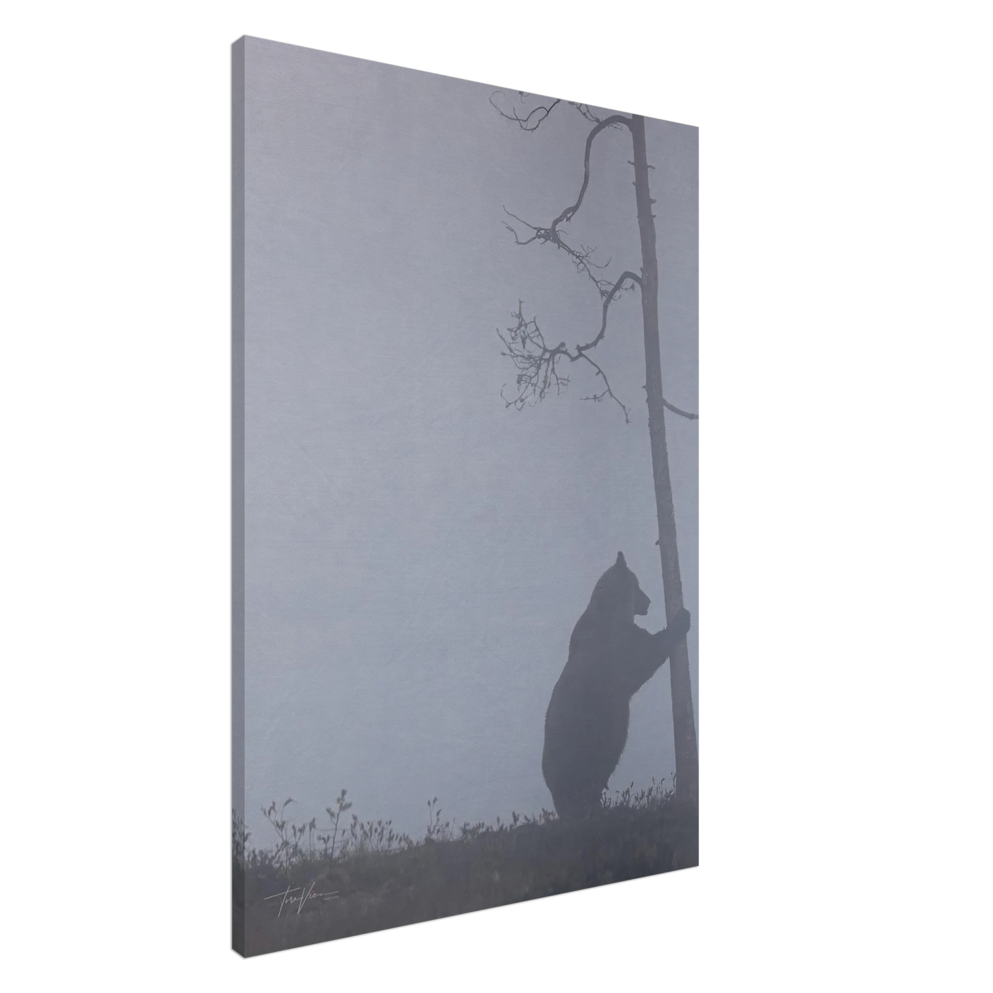 7ccca582-972f-40db-bb23-2530e87f9237