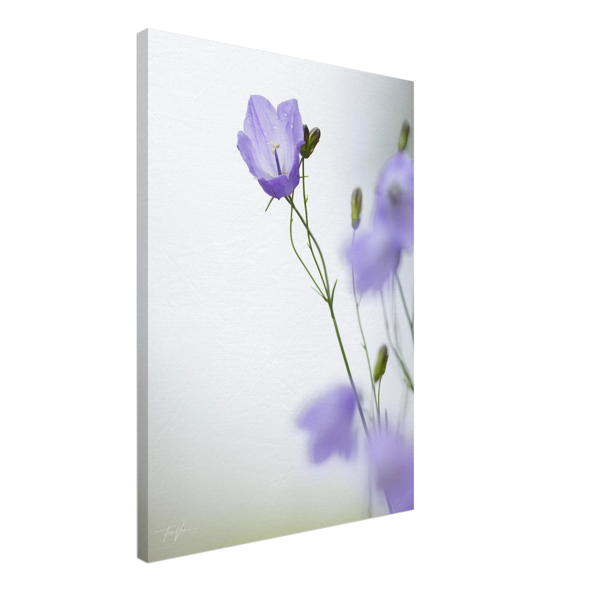 7d2bbfe1-151b-4294-8c08-298e90e83fd1