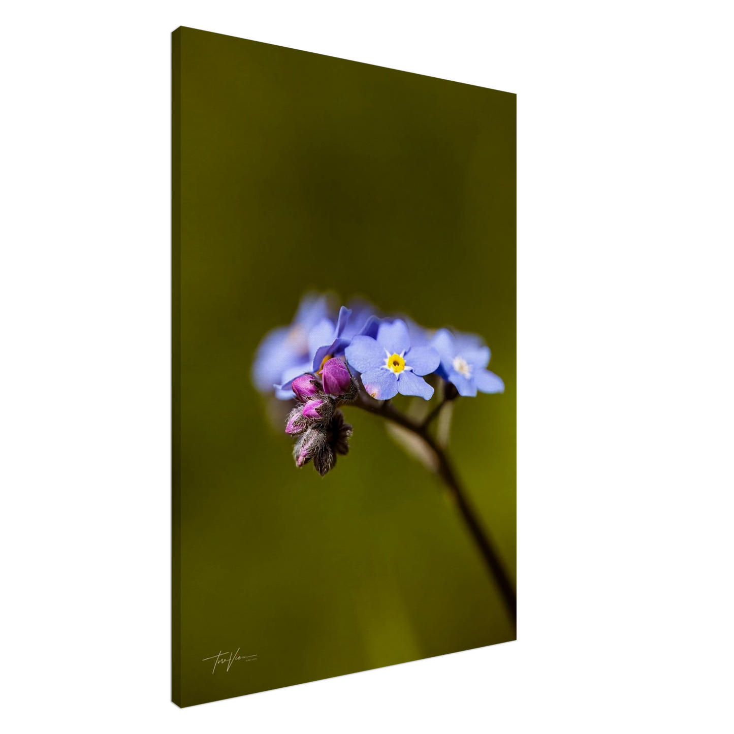 7dd0b5bb-1c00-465e-b470-9d098111b5c2