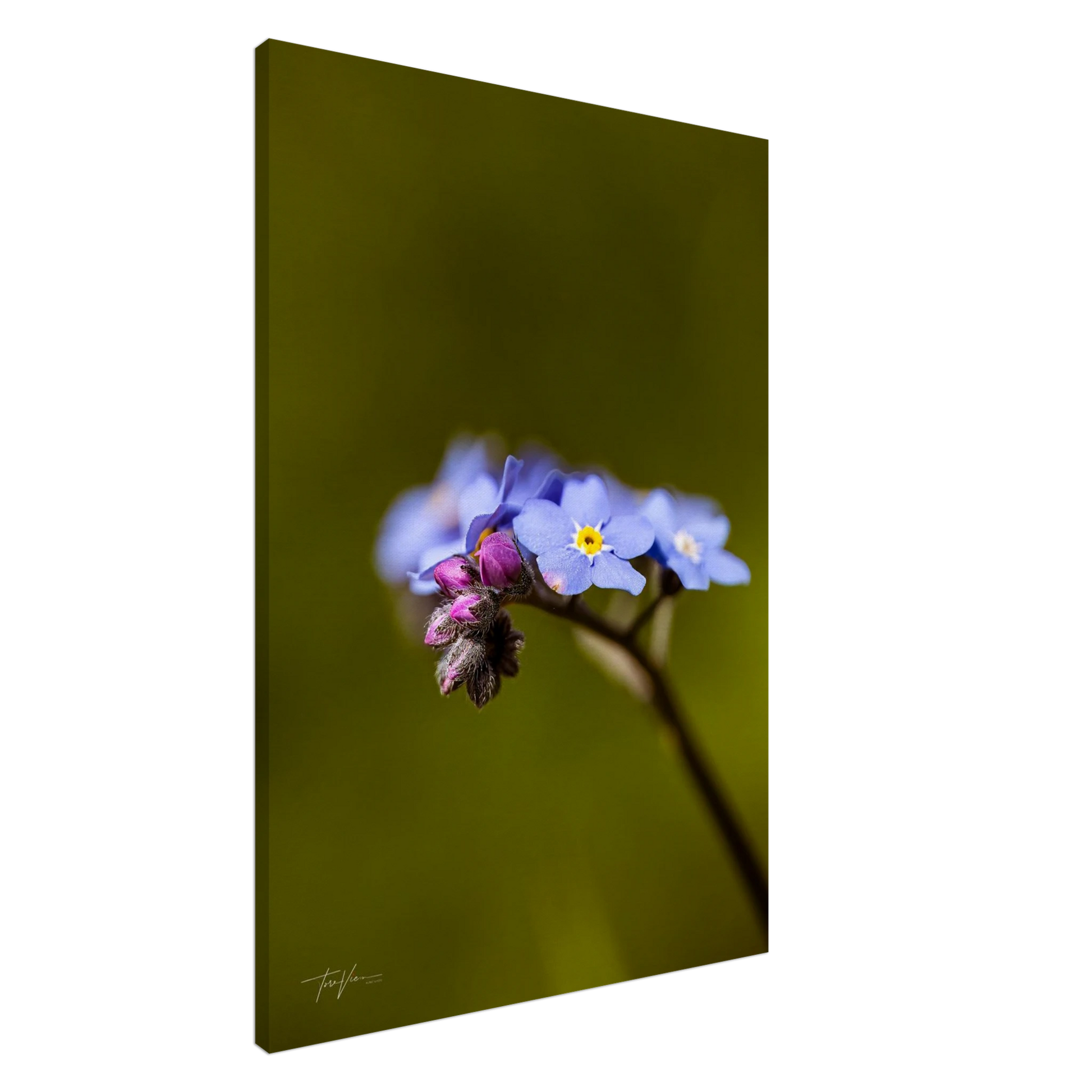 7dd0b5bb-1c00-465e-b470-9d098111b5c2