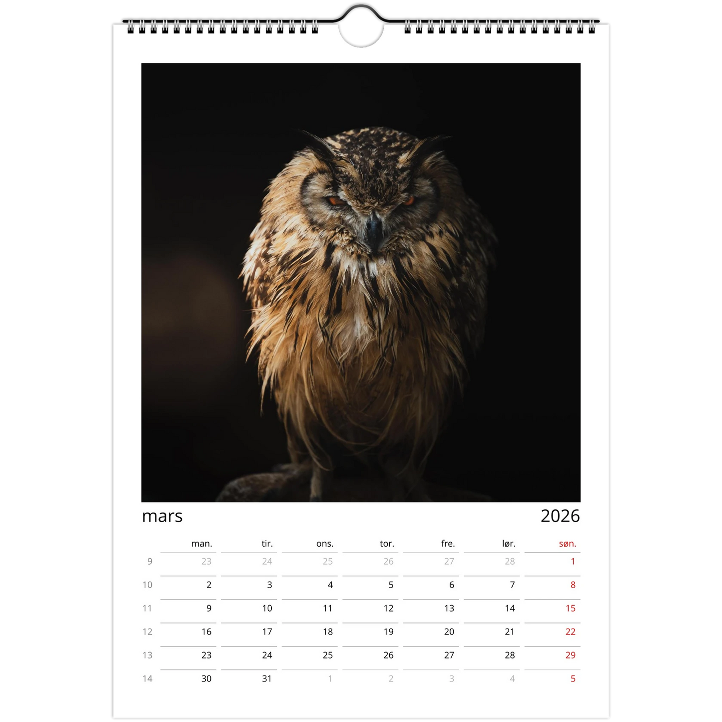 7e609787-6aae-43c3-af2f-8b893069939c