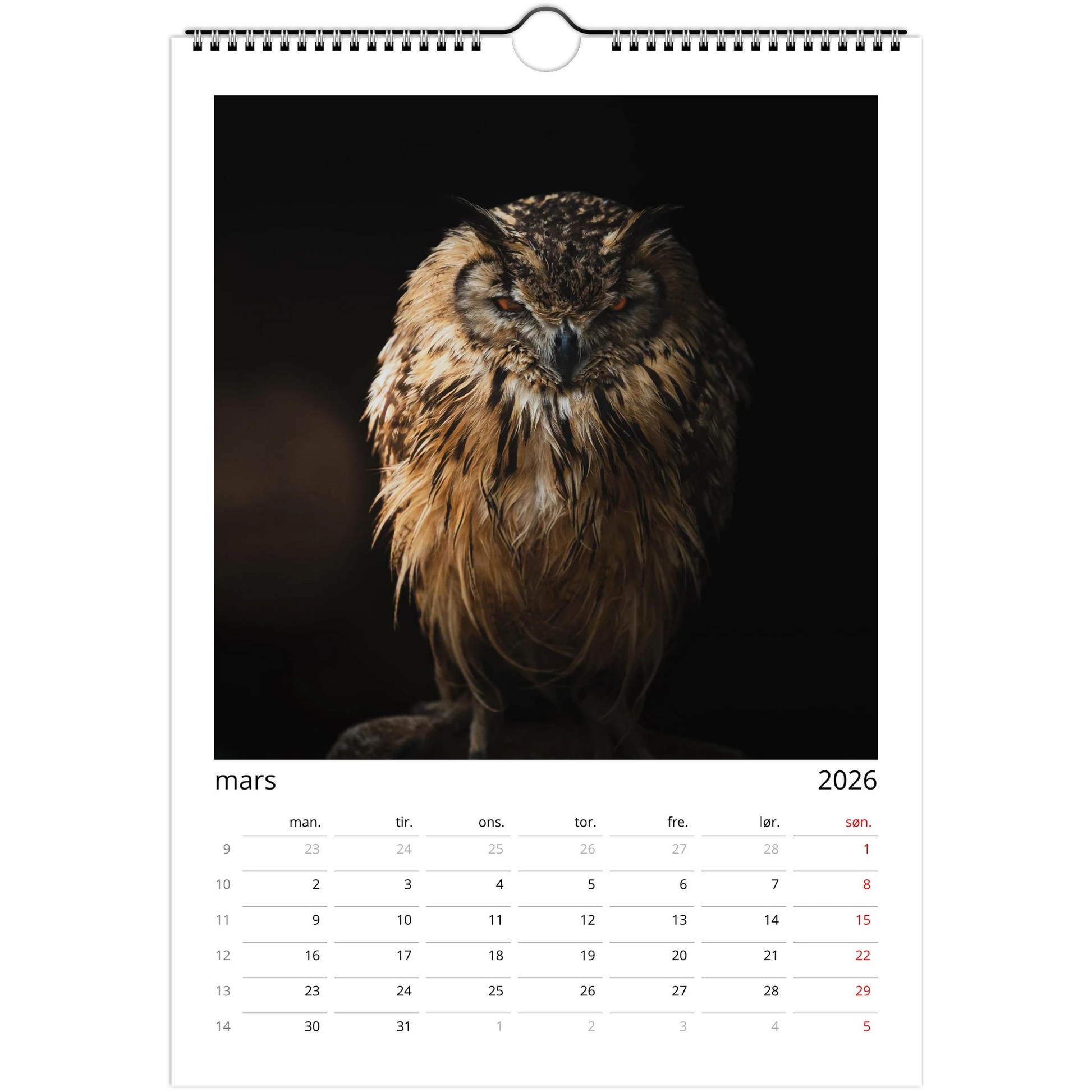 7e609787-6aae-43c3-af2f-8b893069939c