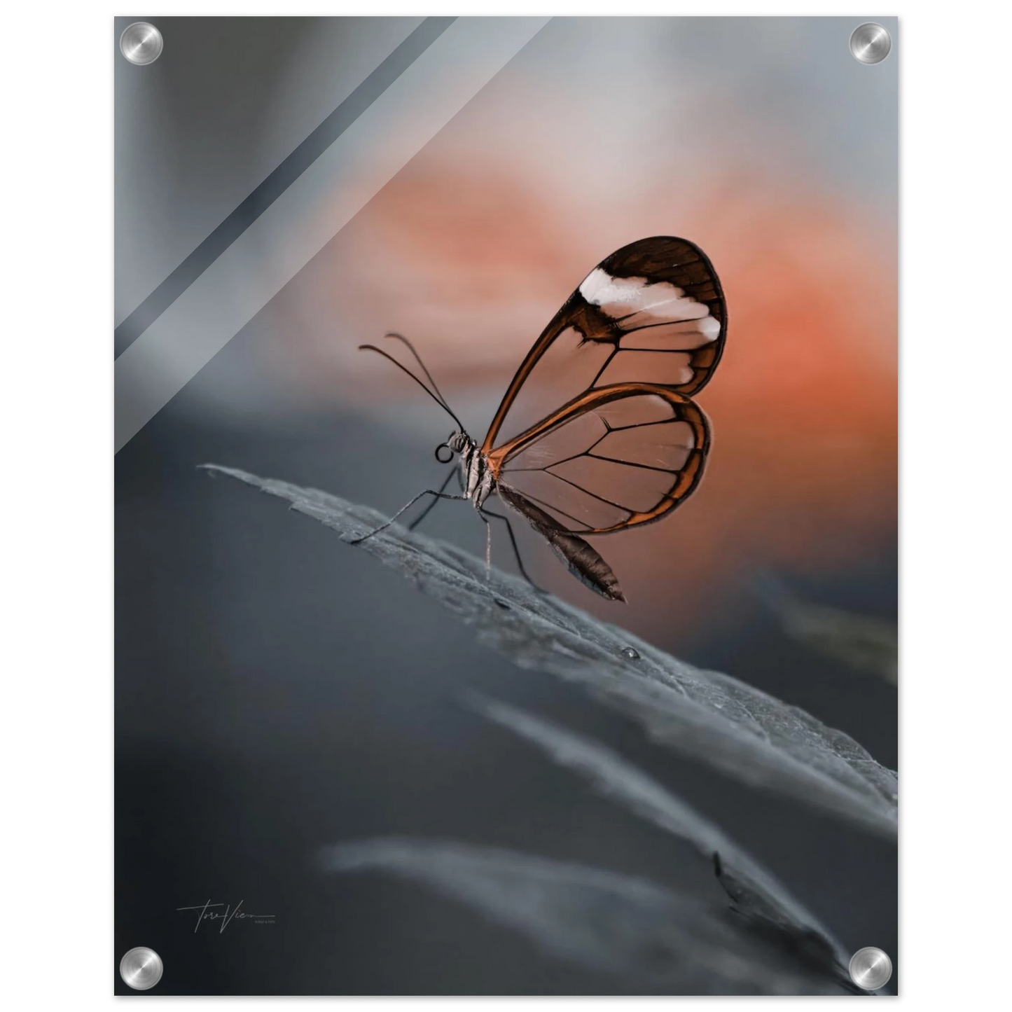 7ec5dfc4-2240-4a55-9930-df35bf898c00