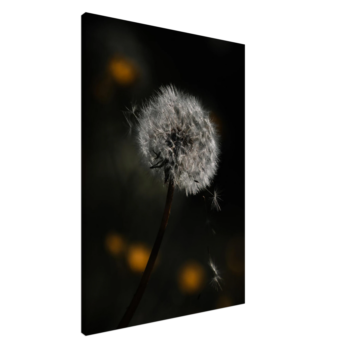 7f795b6a-ebb8-4f05-8f68-6f1a33475103