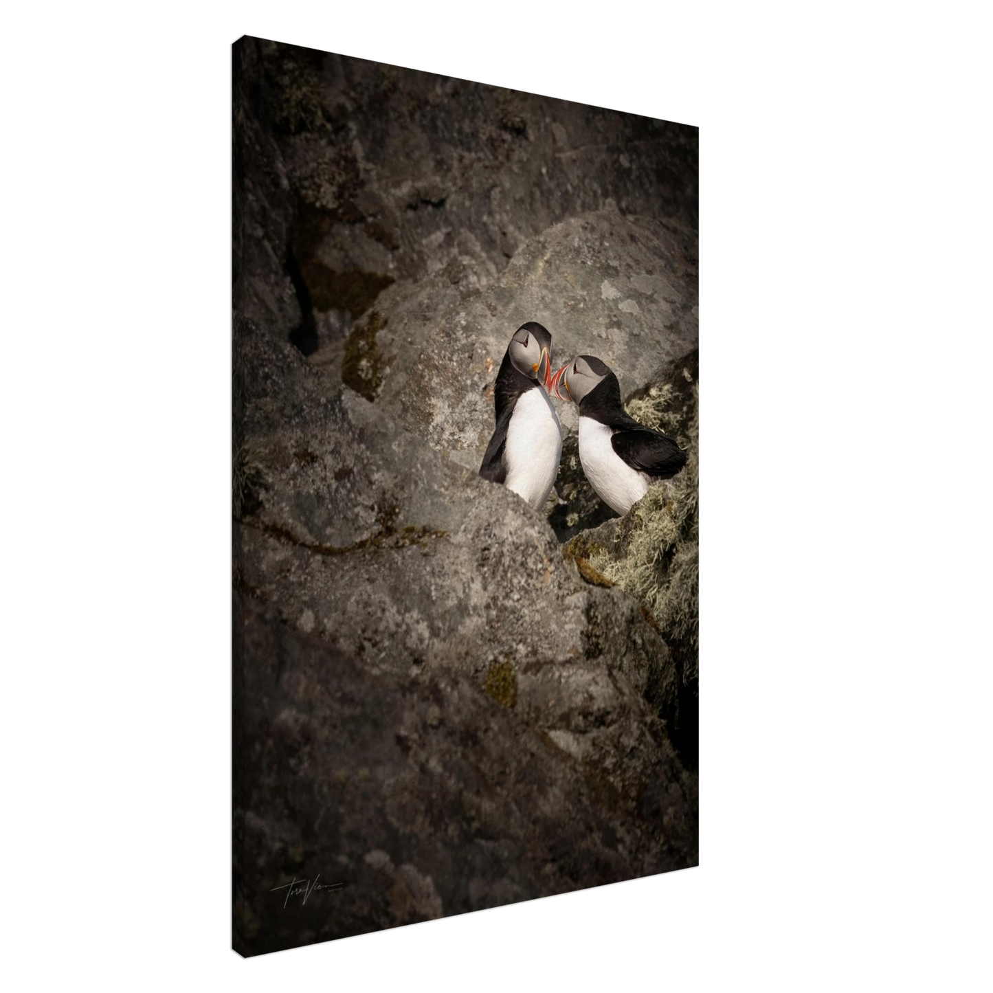 7fa34261-f12c-4885-a9ea-9f24cc136eba