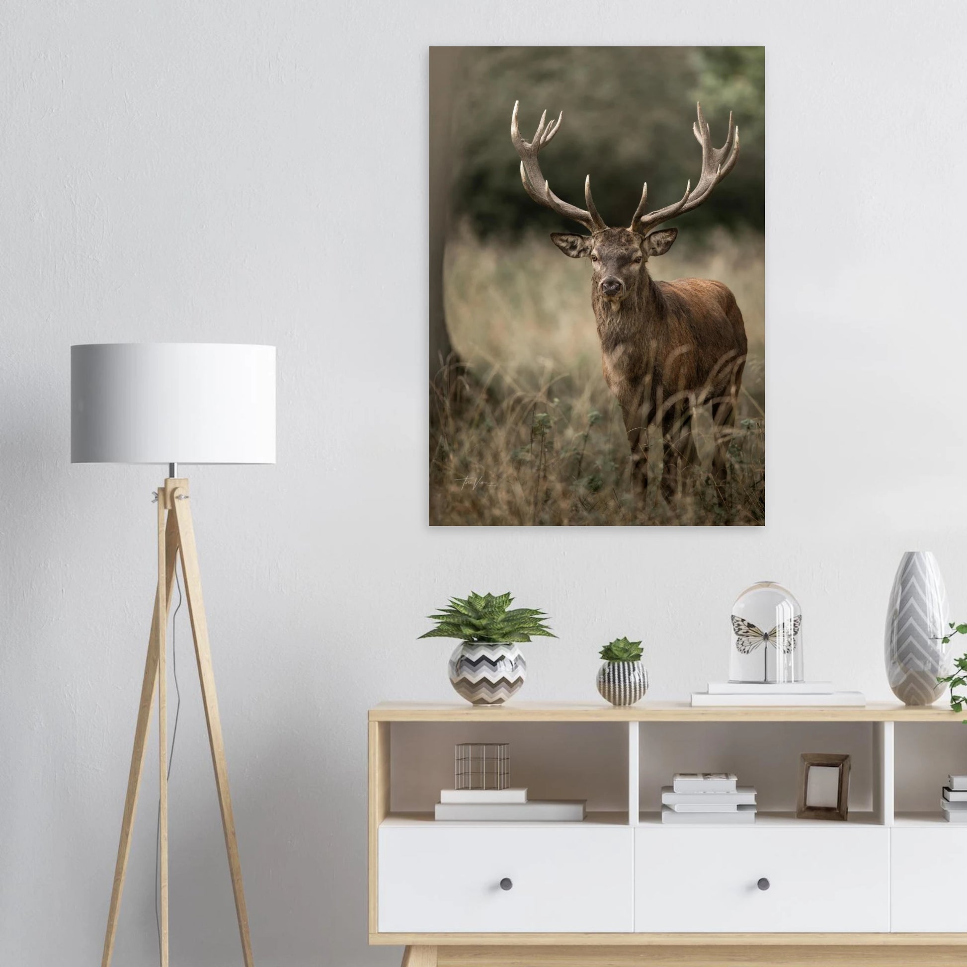 7fda20eb-9d7b-4c9d-9edd-f48518df9078