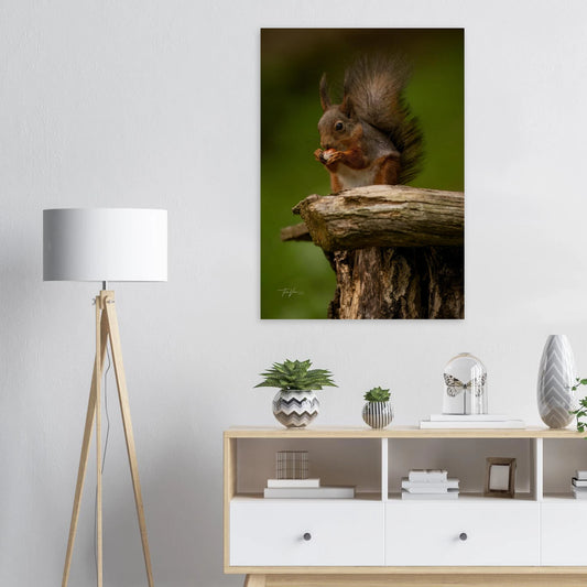 81c1d774-07d6-4e28-b08d-6961dbfb57bb