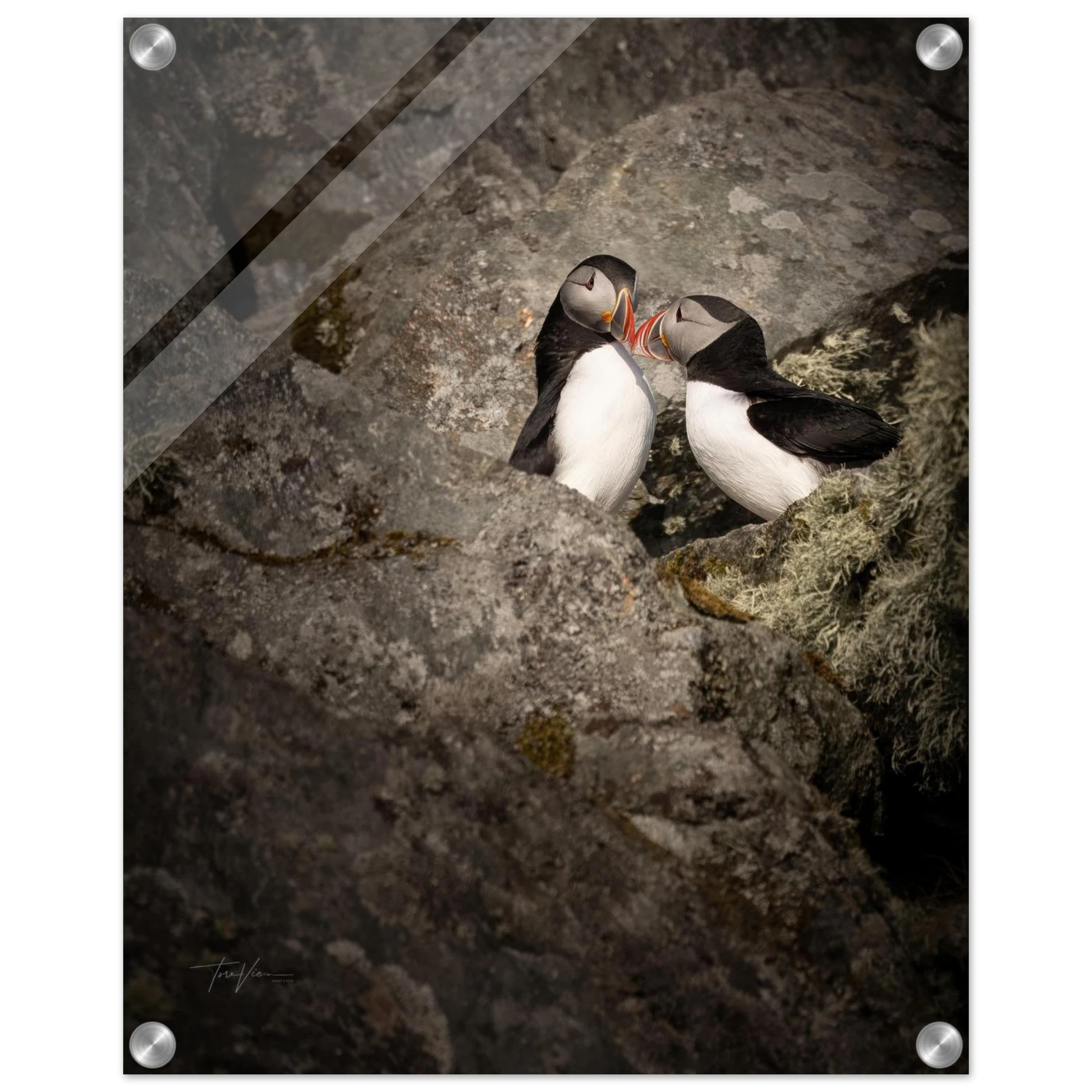 81f7cb6a-2a15-4892-b9cb-1ba447f36a14