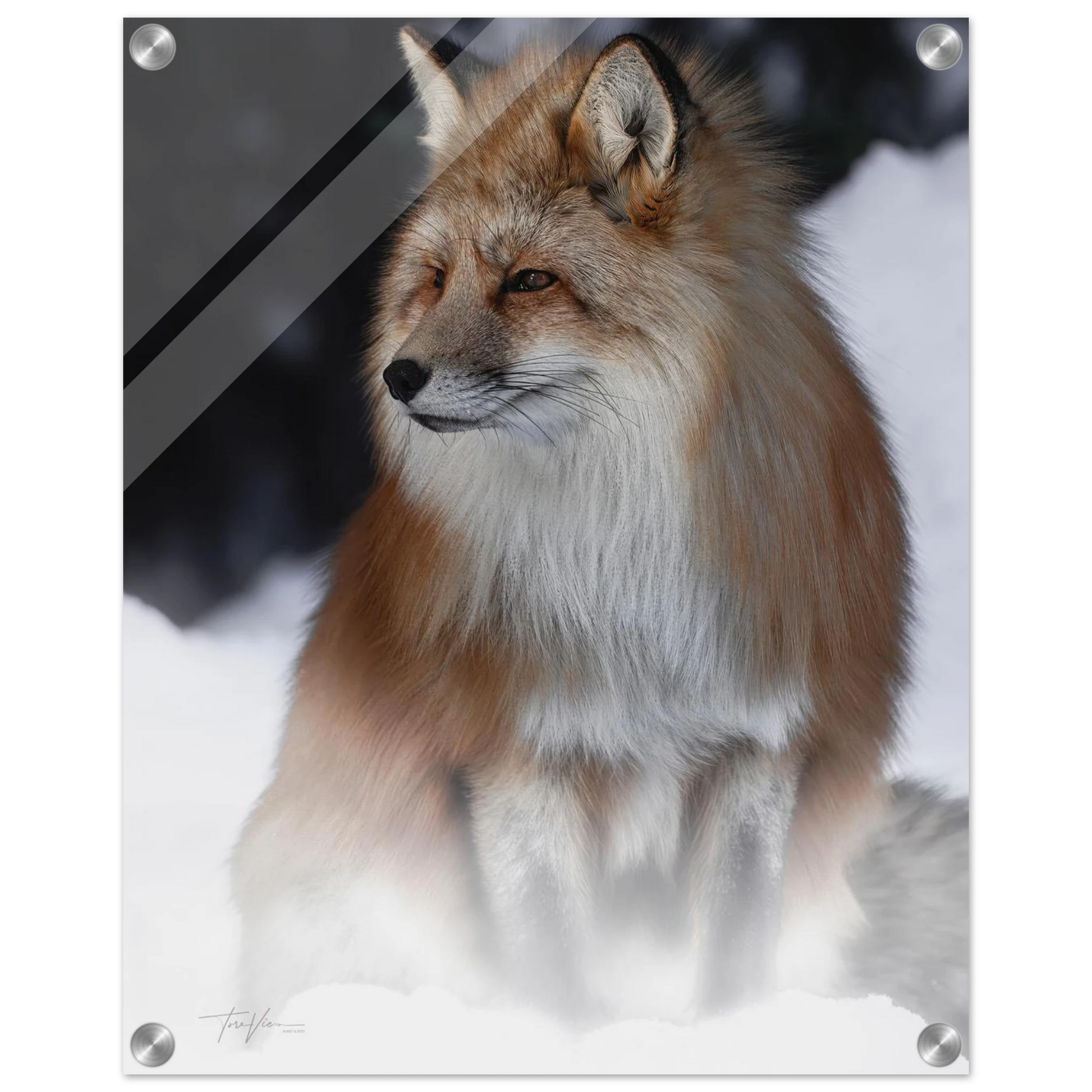 824a8b29-cae4-452a-935a-6dc5969ba9ea