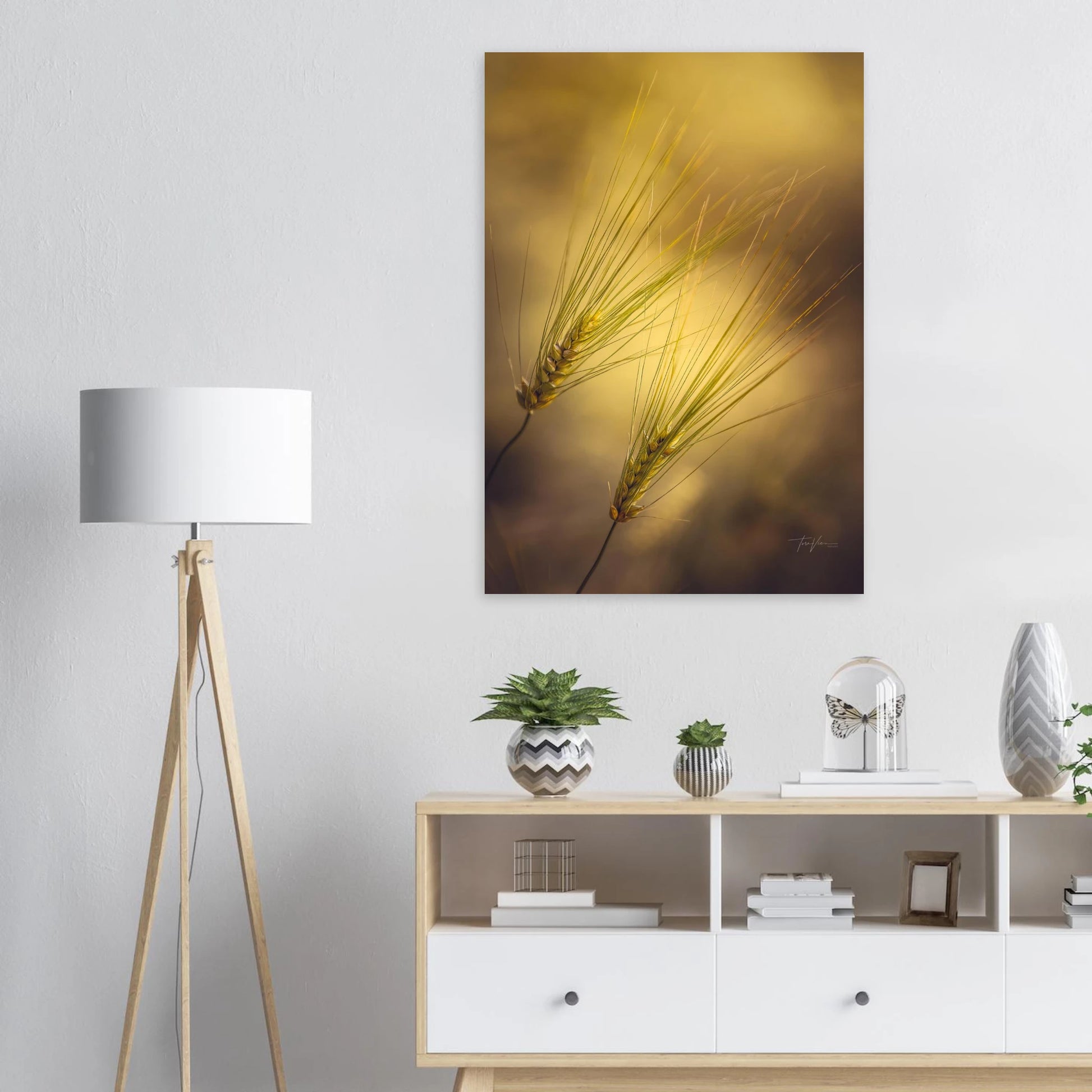 83c206a6-d7b7-45fb-8821-8c9d64866a7b