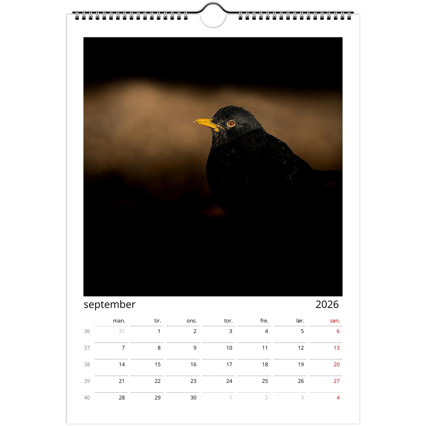 8503401b-2dbd-46c4-807f-1c1070216d7c