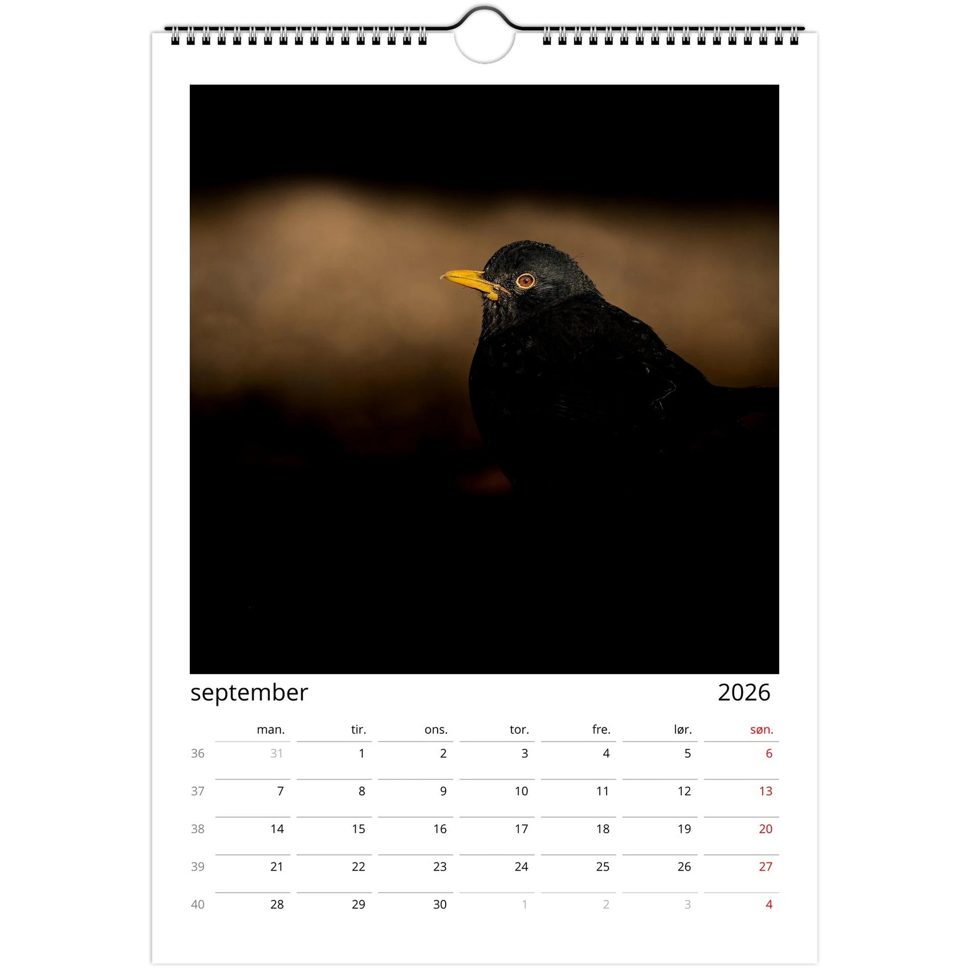 8503401b-2dbd-46c4-807f-1c1070216d7c