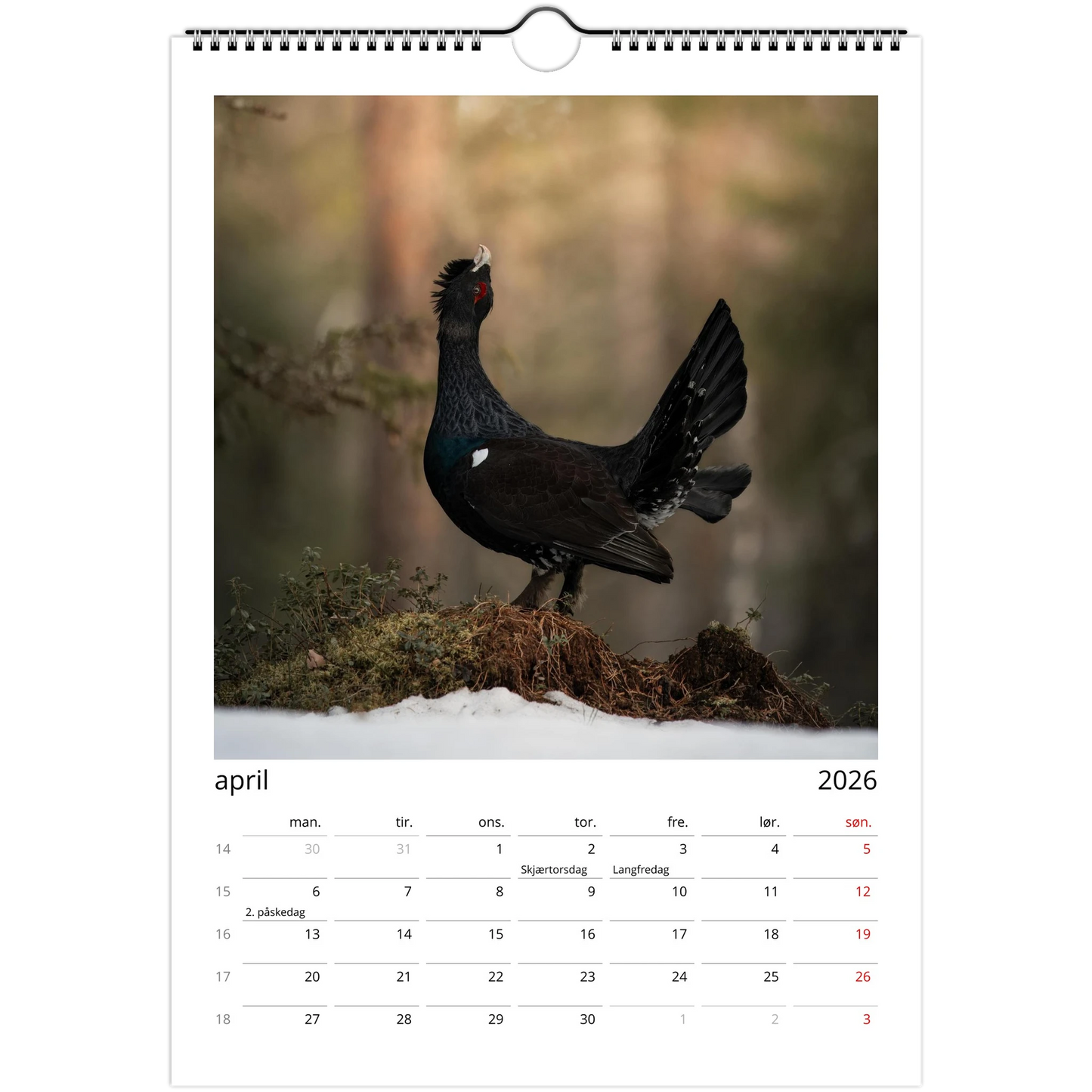 85d3e693-e0ce-4696-9401-0404b356dcdc