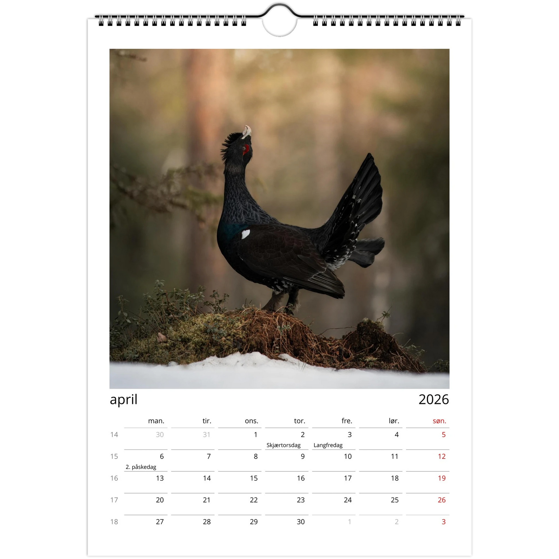 85d3e693-e0ce-4696-9401-0404b356dcdc