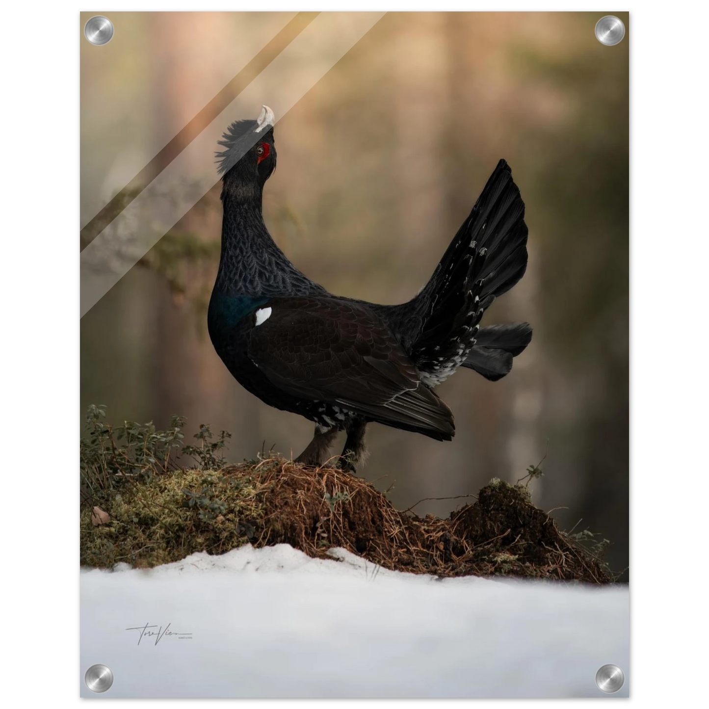 86719571-2681-40b4-bc07-14831a1f860d