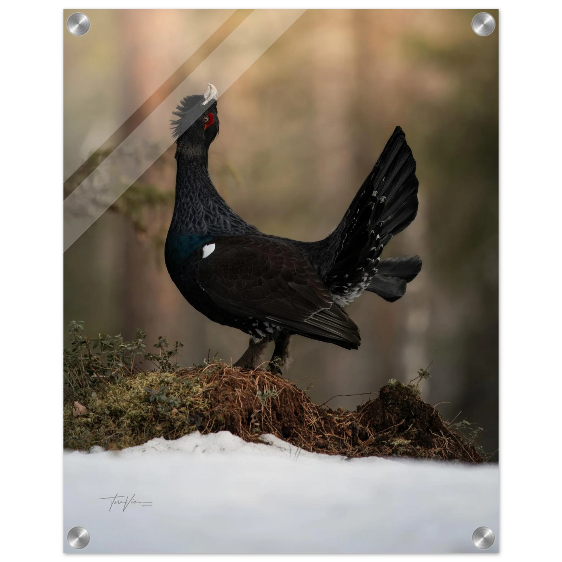 86719571-2681-40b4-bc07-14831a1f860d