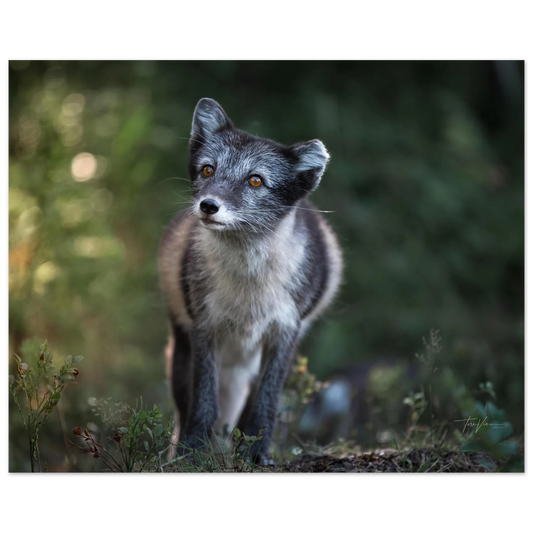 86dd3787-ad5b-400a-8833-e4add3f8e809