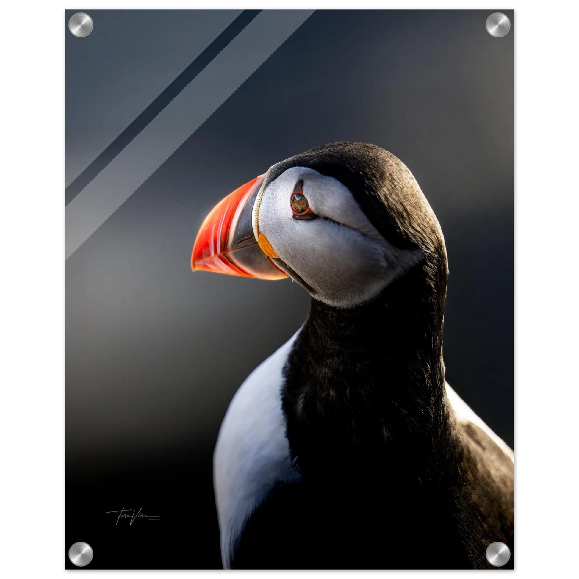 871354fb-0a8d-4a3b-9873-720f794d79ae