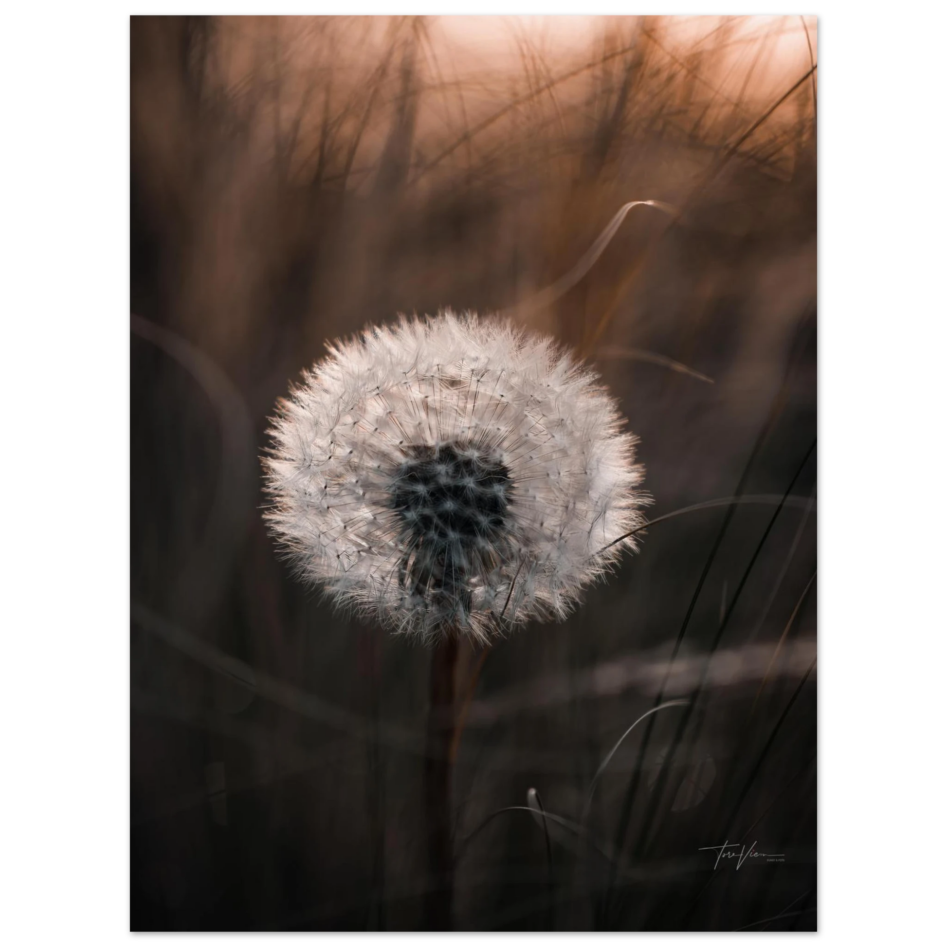 8796aa8d-566f-4b0a-b1d5-f2589d037d47