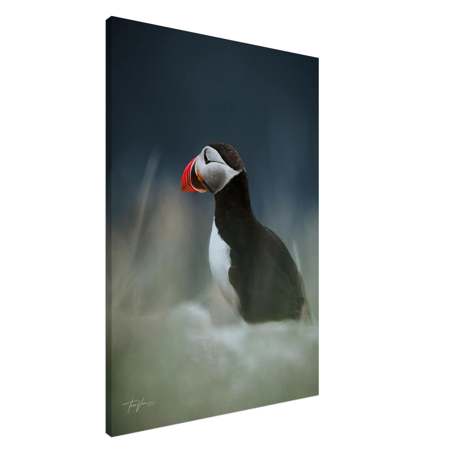 88c4e2f7-7ee5-46cb-88f3-9d246a33a0ad