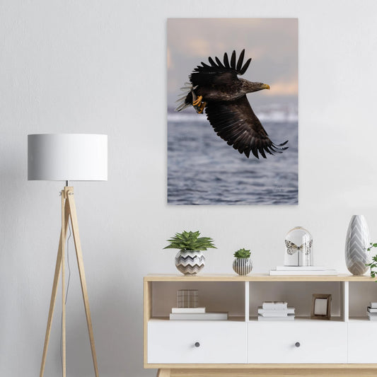 89f7a9ee-4f1c-4a78-ab05-b44b6a225c8e