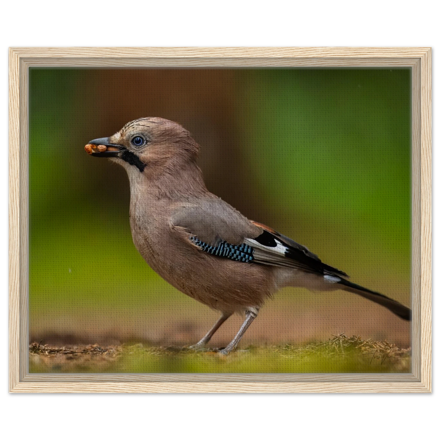 8ce52732-96e1-4950-9692-61977aedc9b6