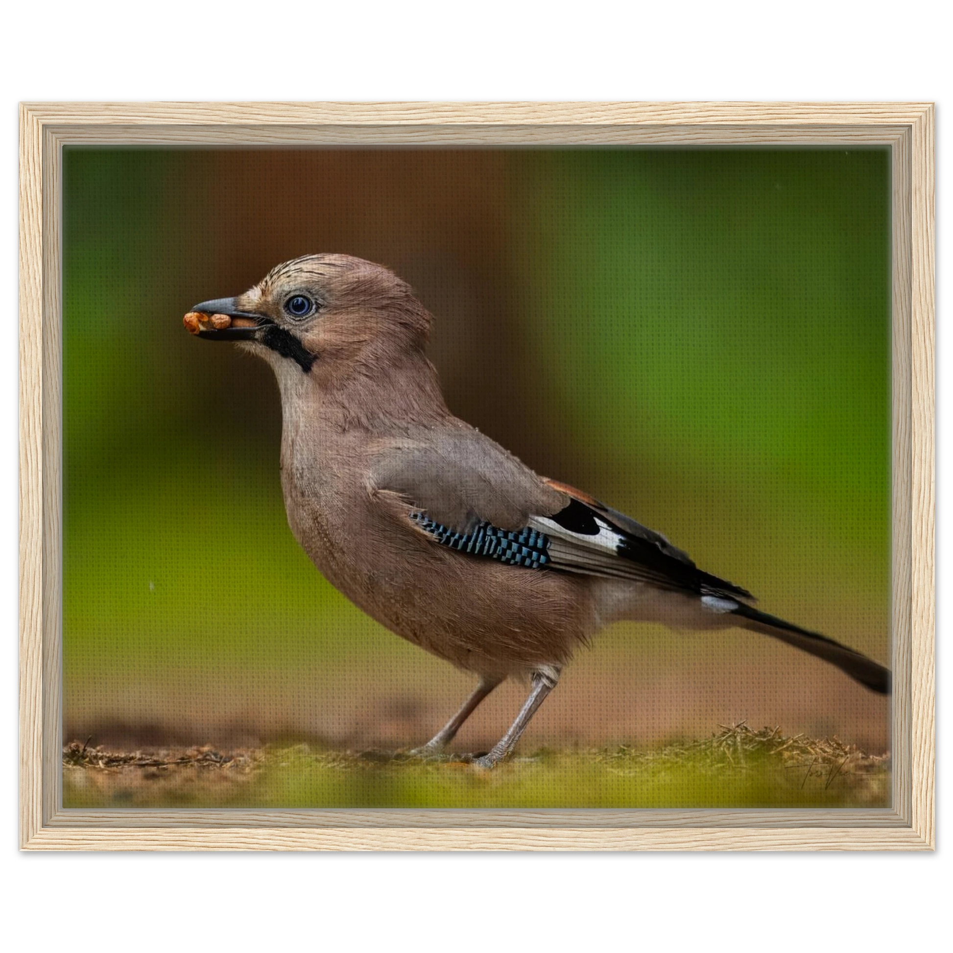 8ce52732-96e1-4950-9692-61977aedc9b6