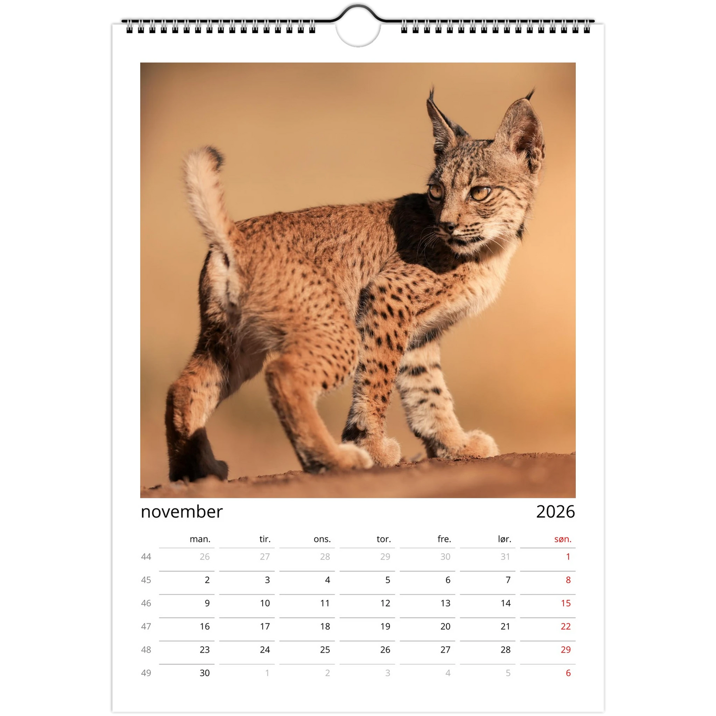 8d114f73-a261-4878-ae7c-5cfa31d194e7