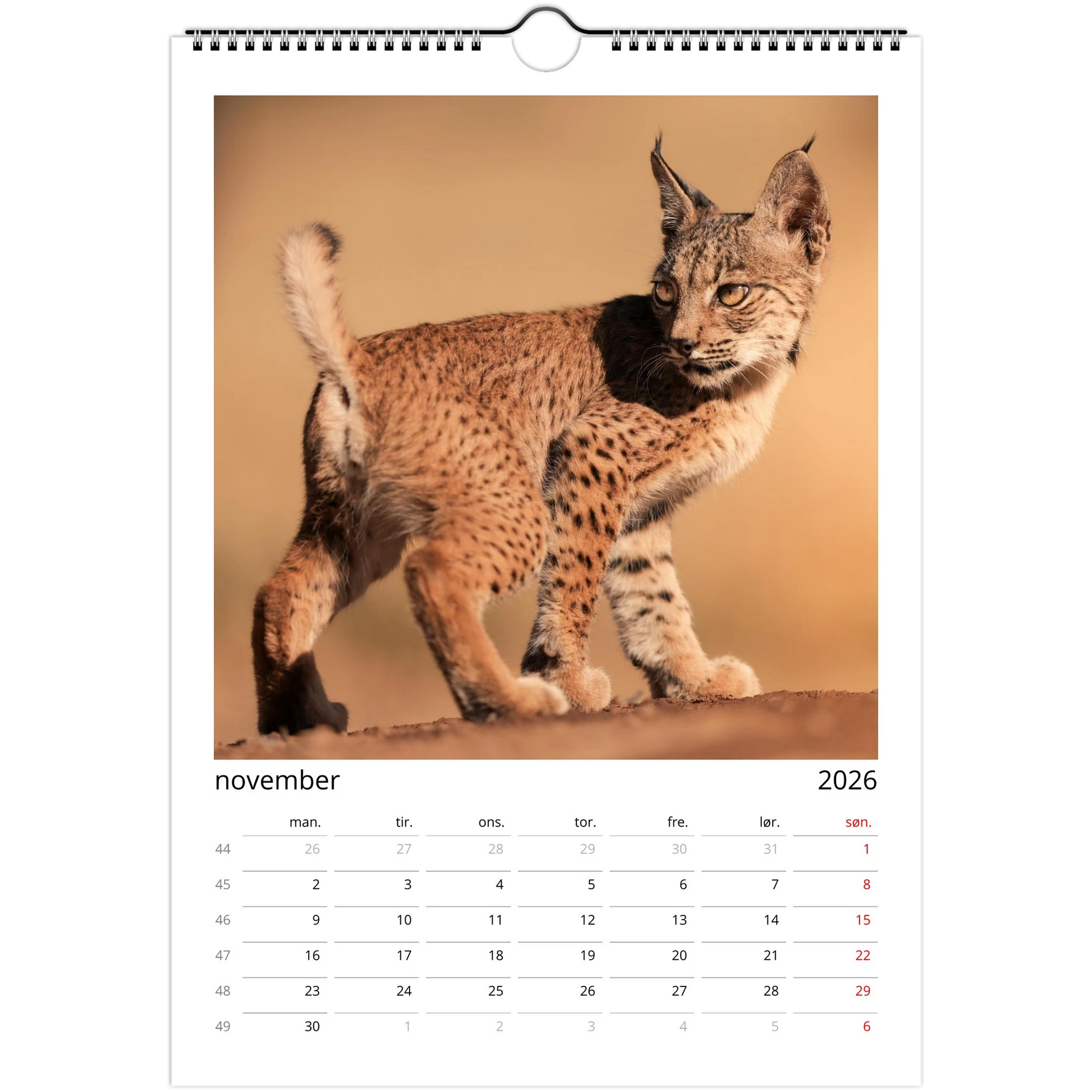 8d114f73-a261-4878-ae7c-5cfa31d194e7