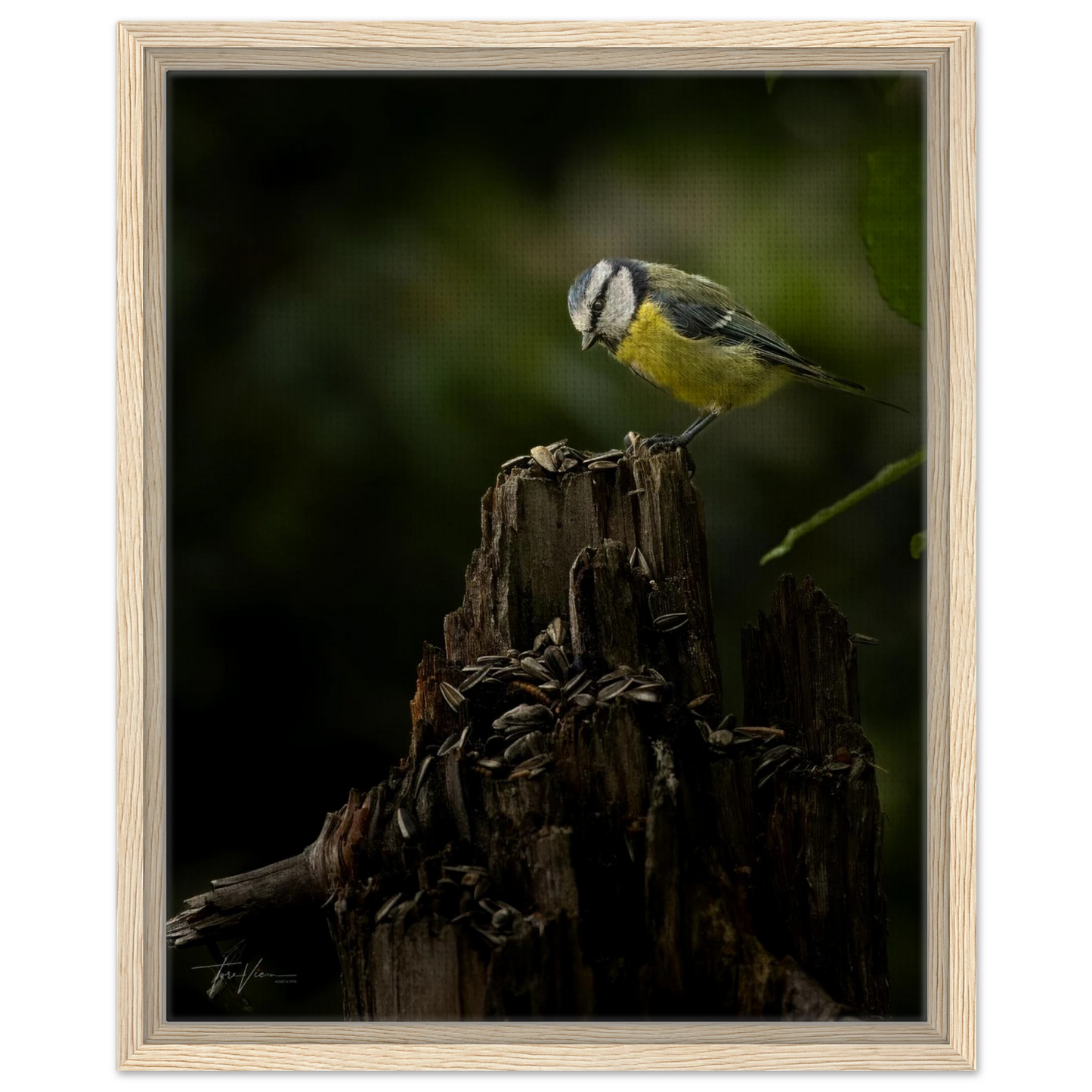 8eb1c820-fd72-4482-aef6-1823397fc821