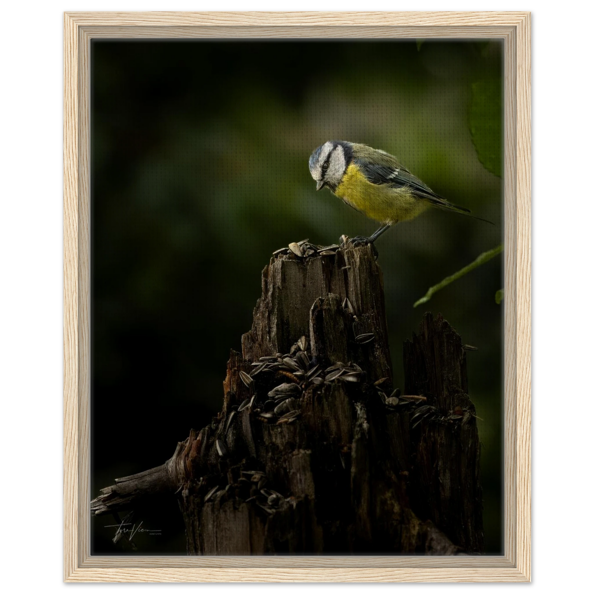 8eb1c820-fd72-4482-aef6-1823397fc821