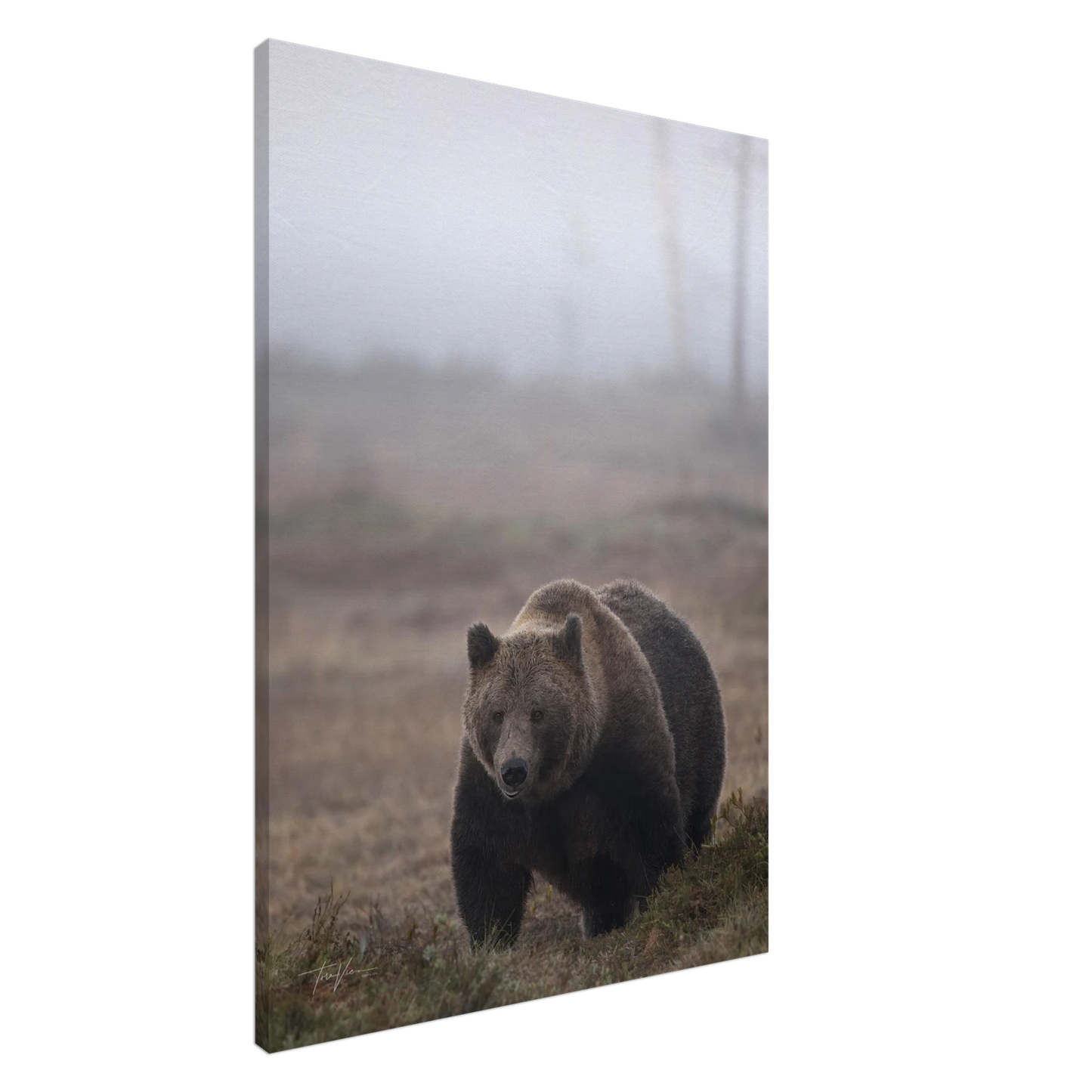 8ebd6765-77cc-407a-8146-a0125da8ef9d