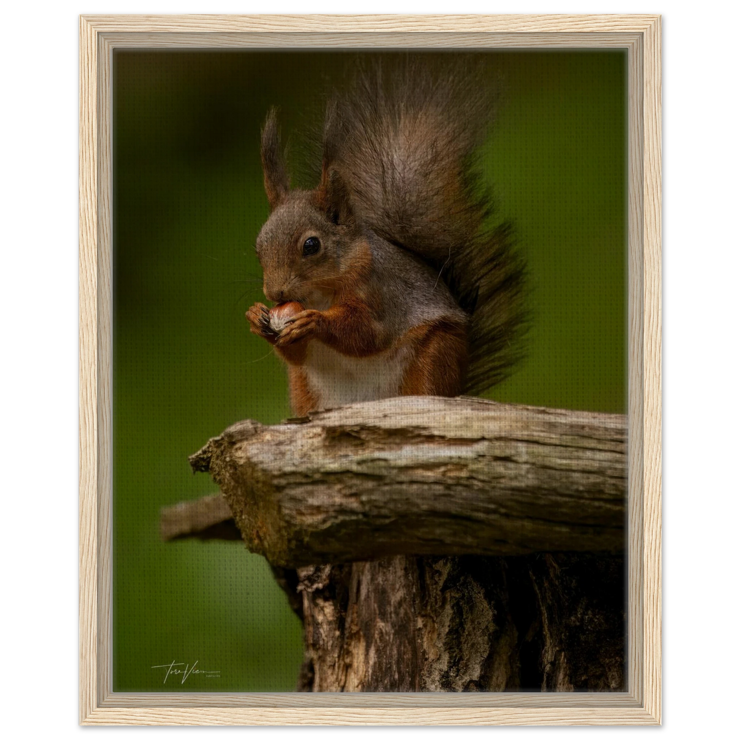 90633190-c0b9-40d3-b3ec-78da985ccf74