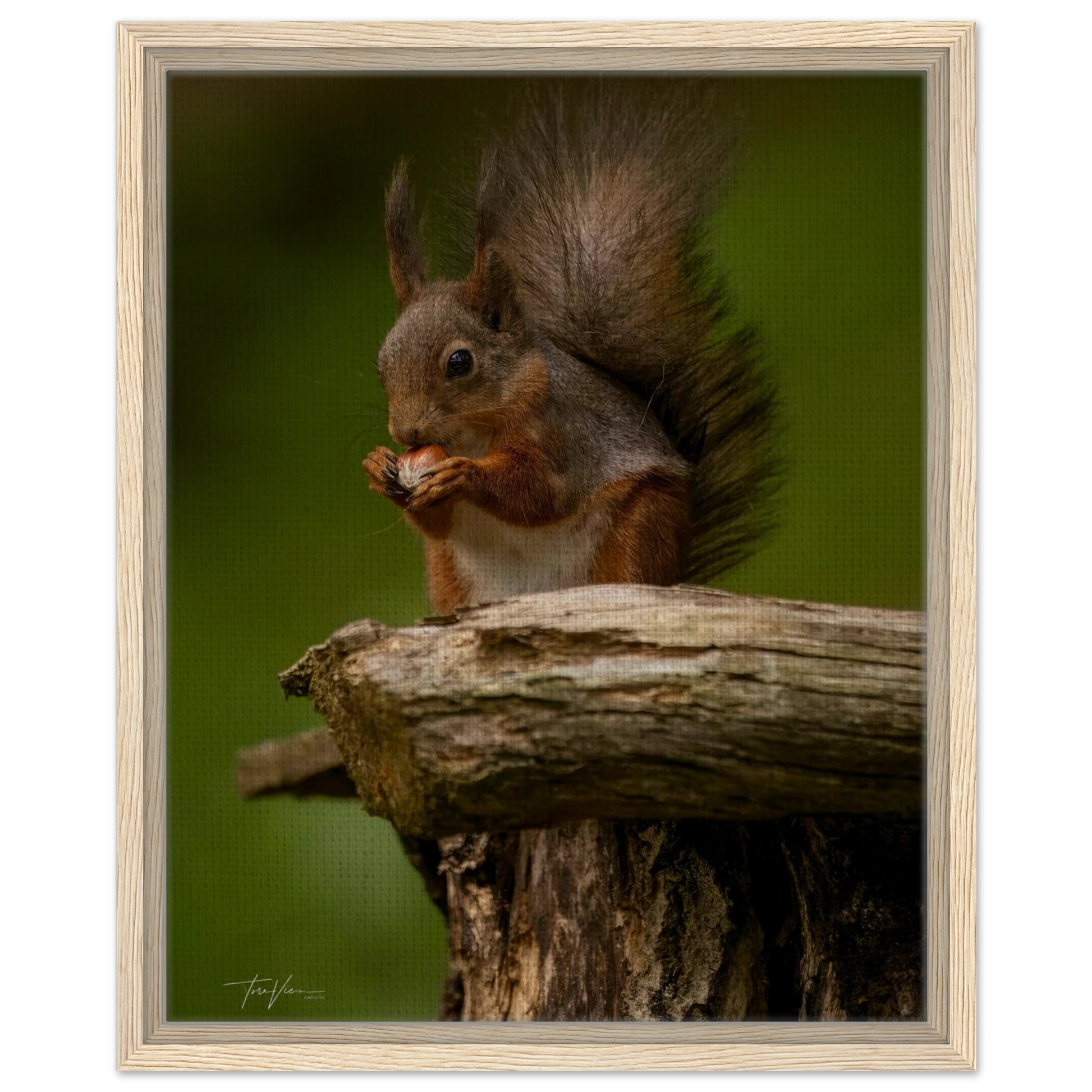 90633190-c0b9-40d3-b3ec-78da985ccf74