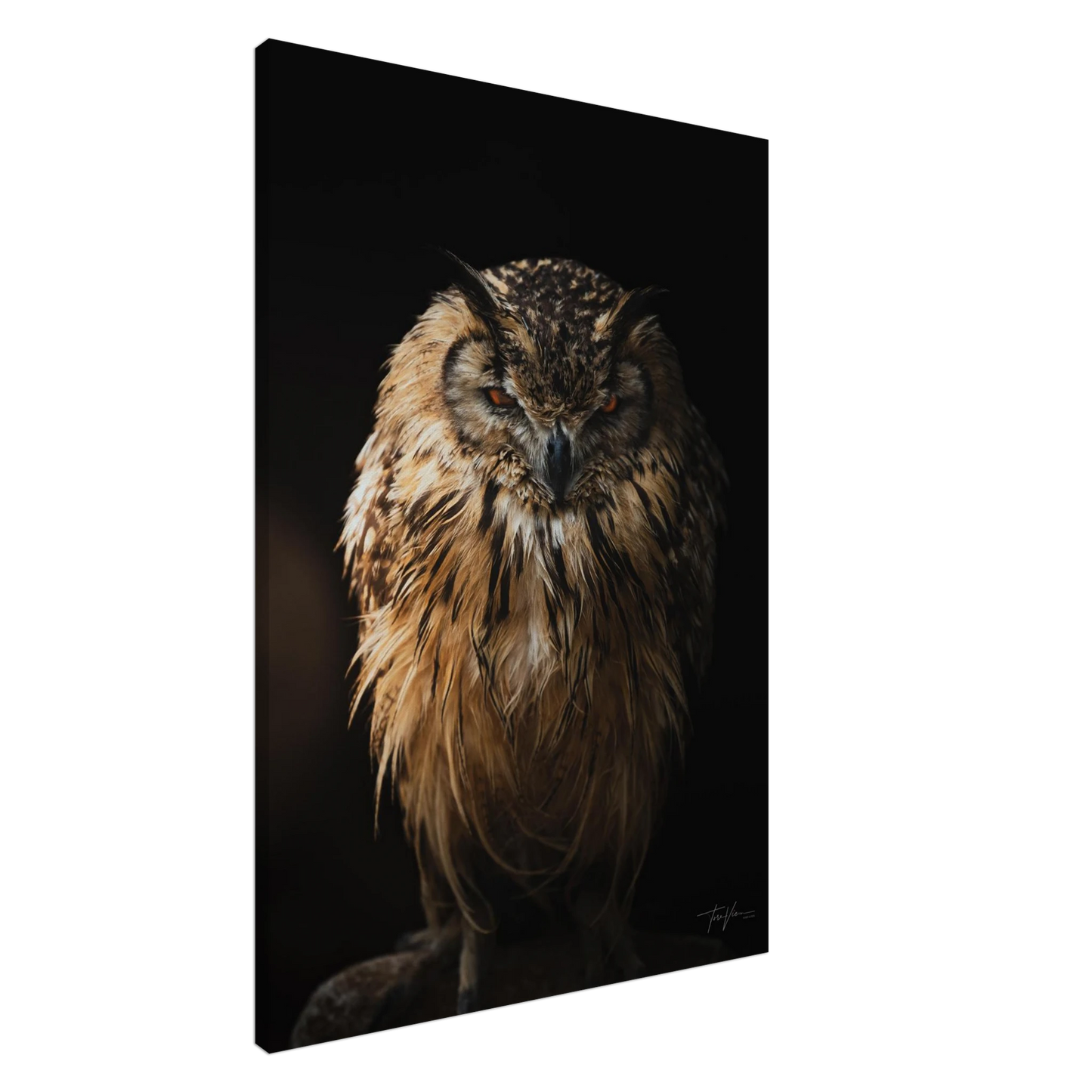 916f4fd1-c0ac-4558-a3d7-b021e32137e9