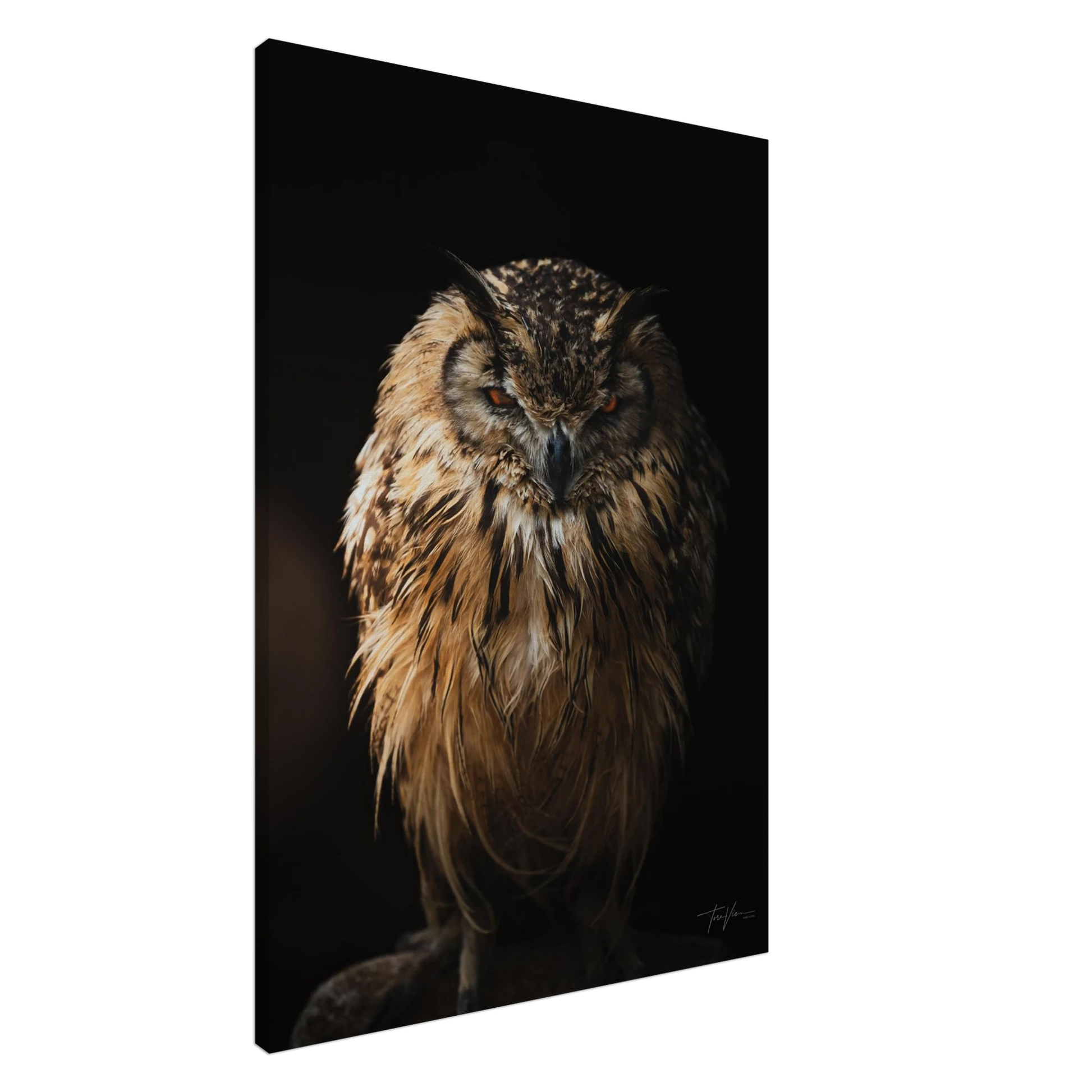 916f4fd1-c0ac-4558-a3d7-b021e32137e9