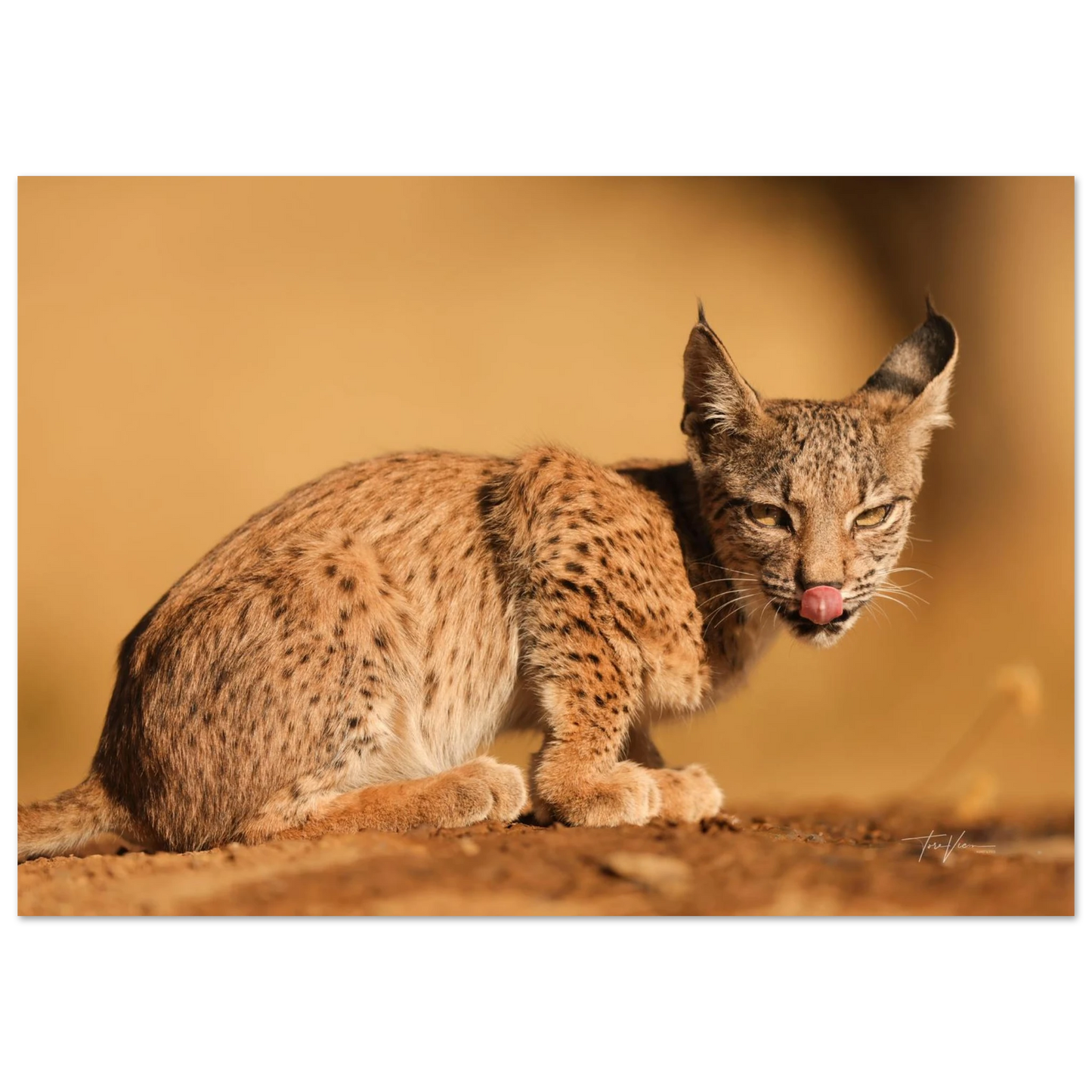 943dd465-7587-41b5-b97d-ad263af28040