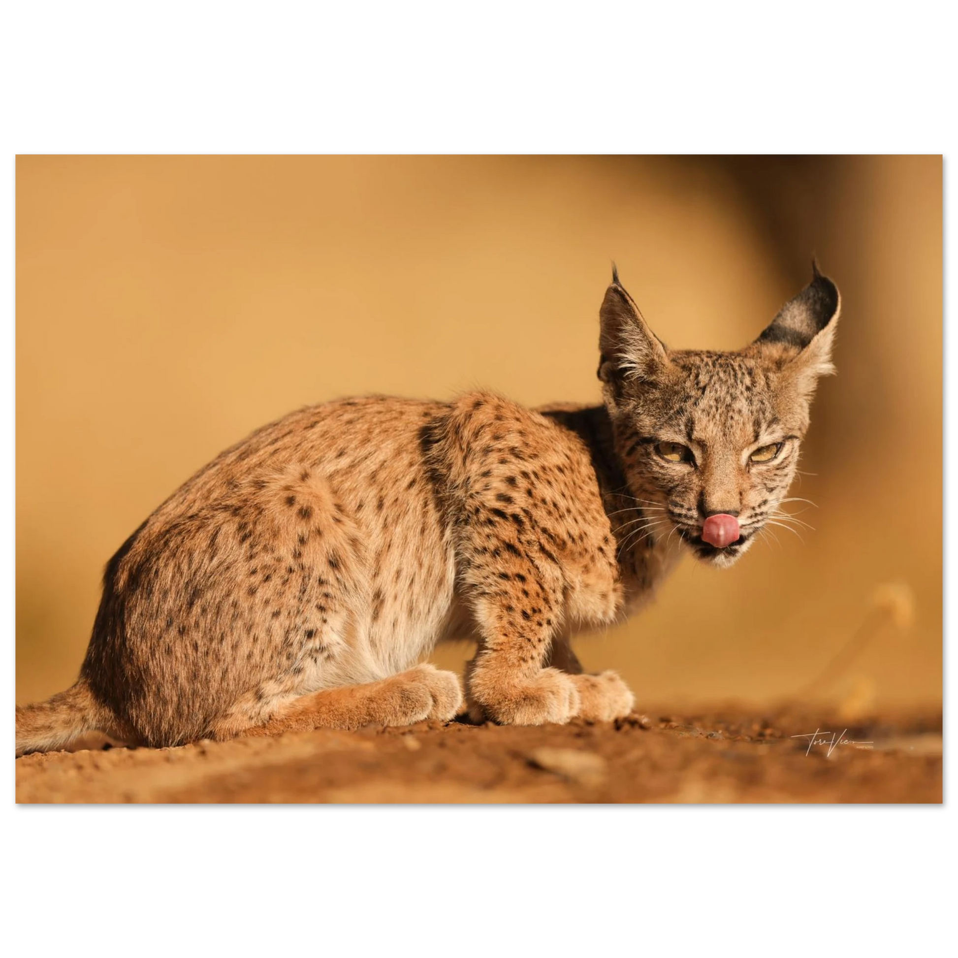 943dd465-7587-41b5-b97d-ad263af28040