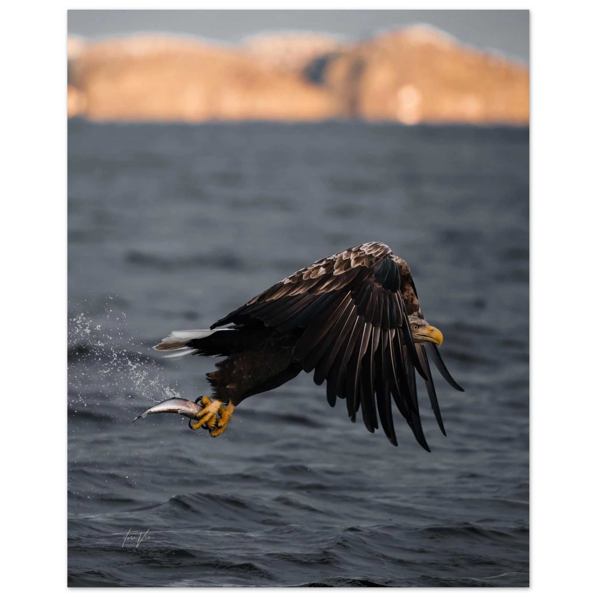 94567fef-560f-49c4-bcbd-ea2ccb915a0c