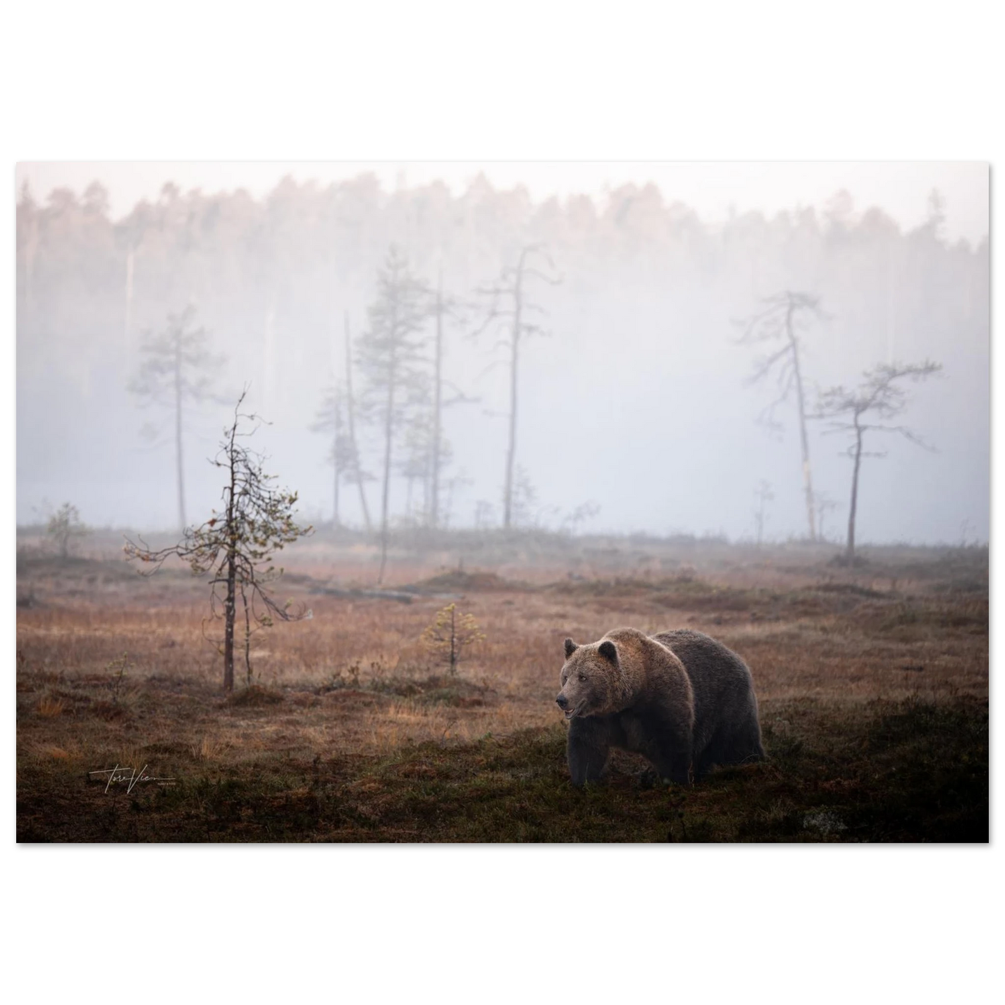 97970dee-9095-48de-aba4-e2c7e9183a0a