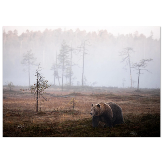 97970dee-9095-48de-aba4-e2c7e9183a0a