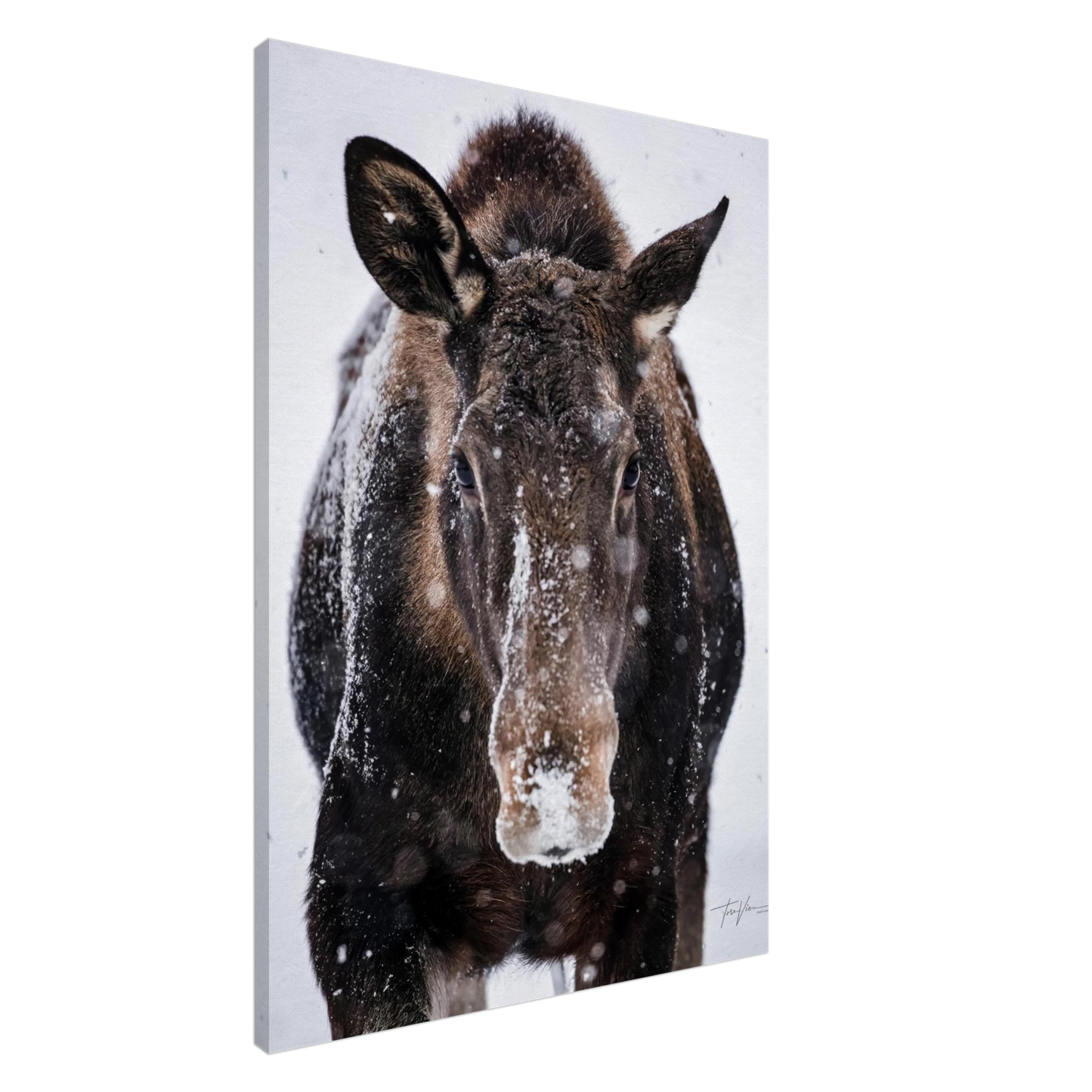 9812455e-0934-45ec-bcd2-c63261ae4842
