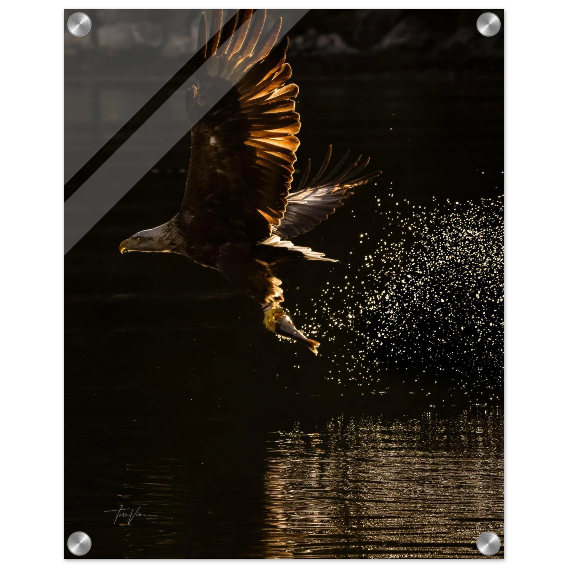 9834a9e1-caac-41d4-8141-c33e88a65e57