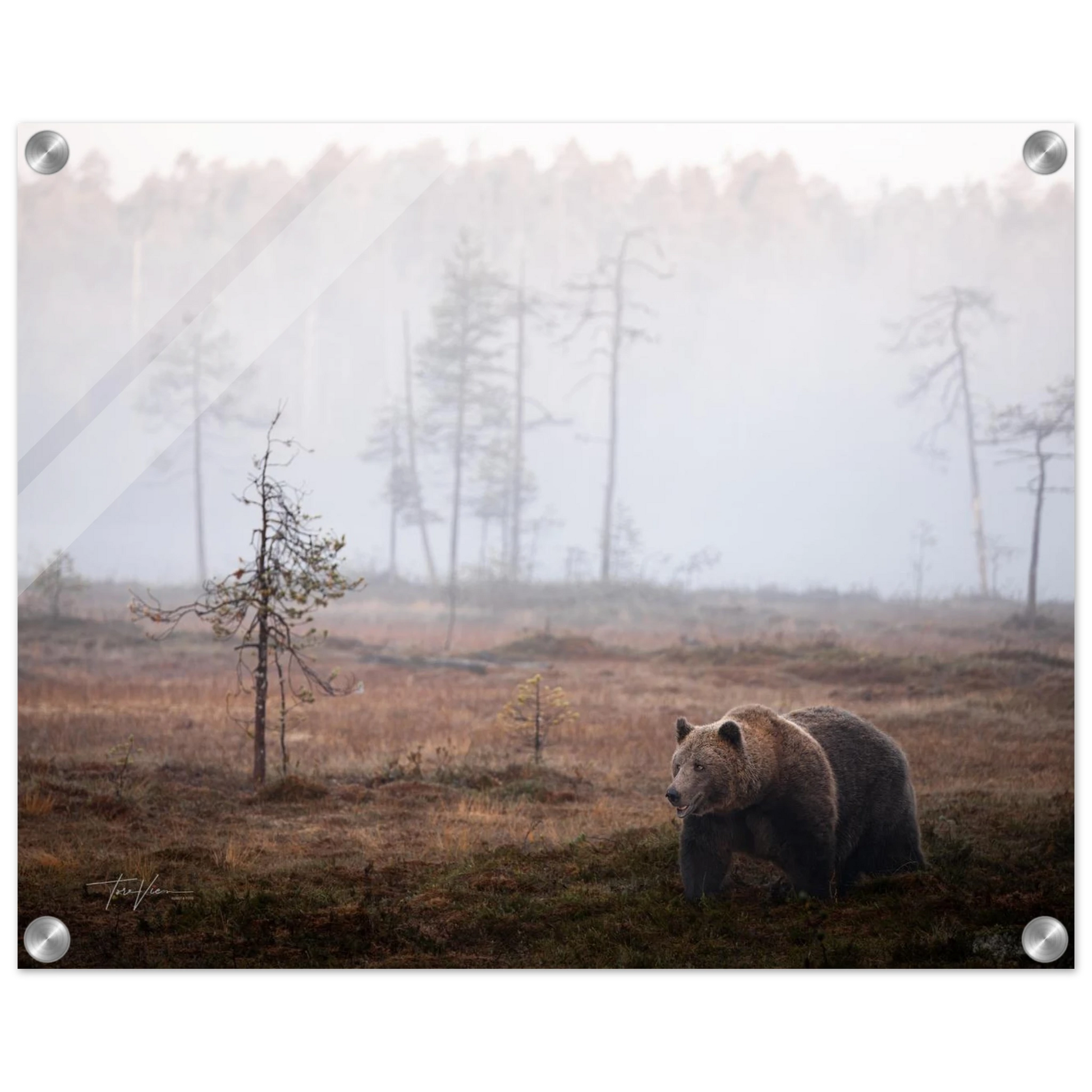 9a791f07-c953-46d5-a35f-81f7a54e4fa7