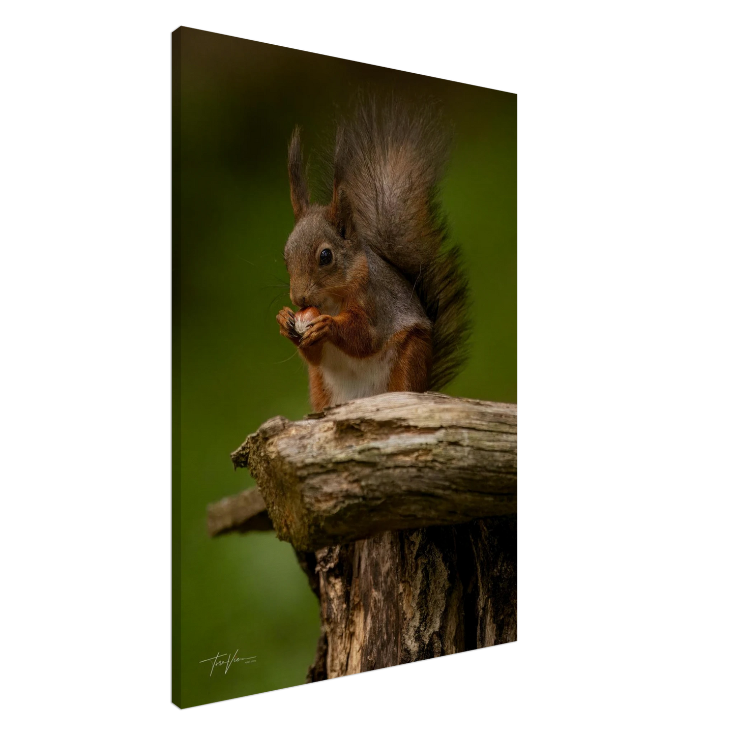 9b1505b8-d729-48d4-ab1c-1fbcba99786f