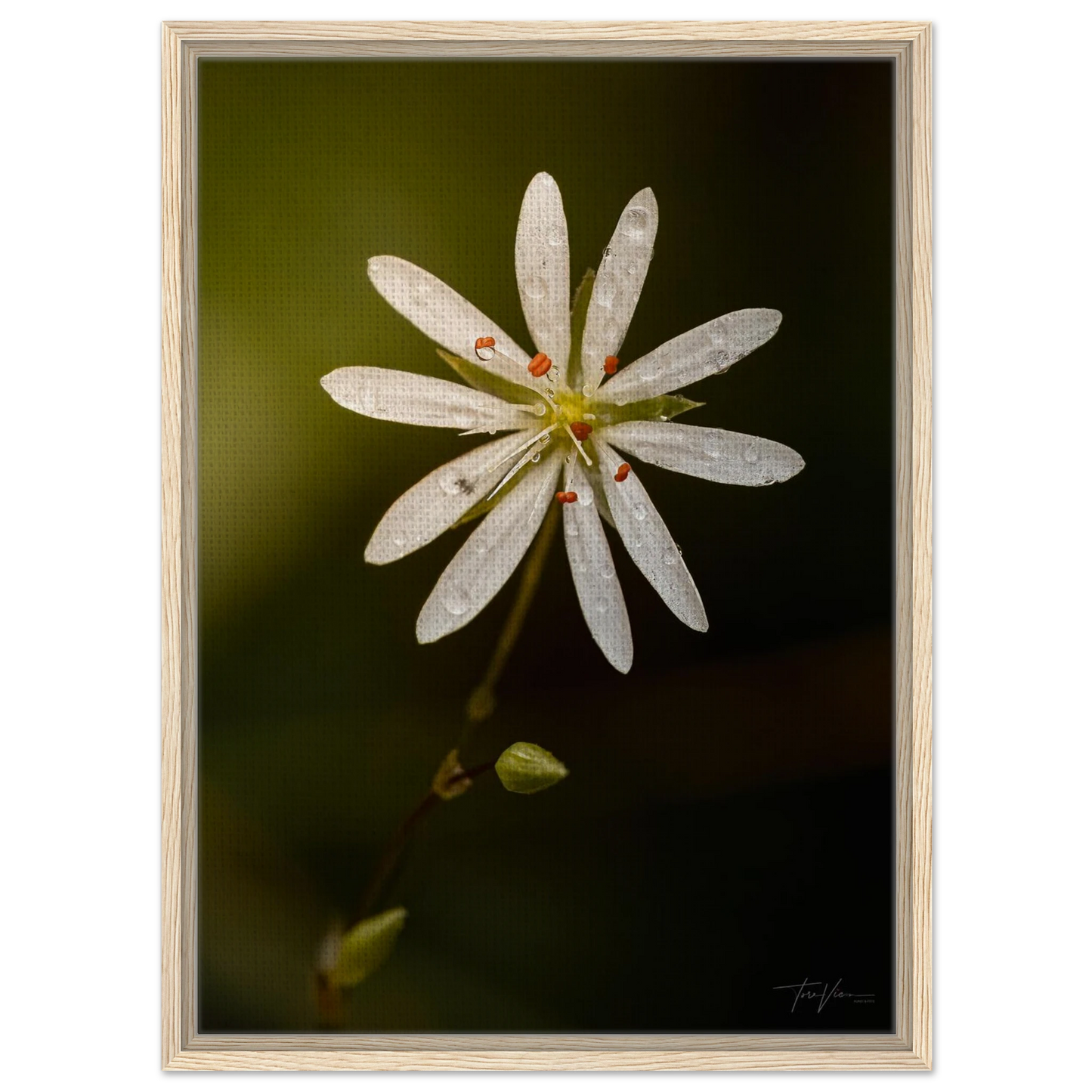 9ccb1047-3e15-4e8f-8f74-b46248ca09e8