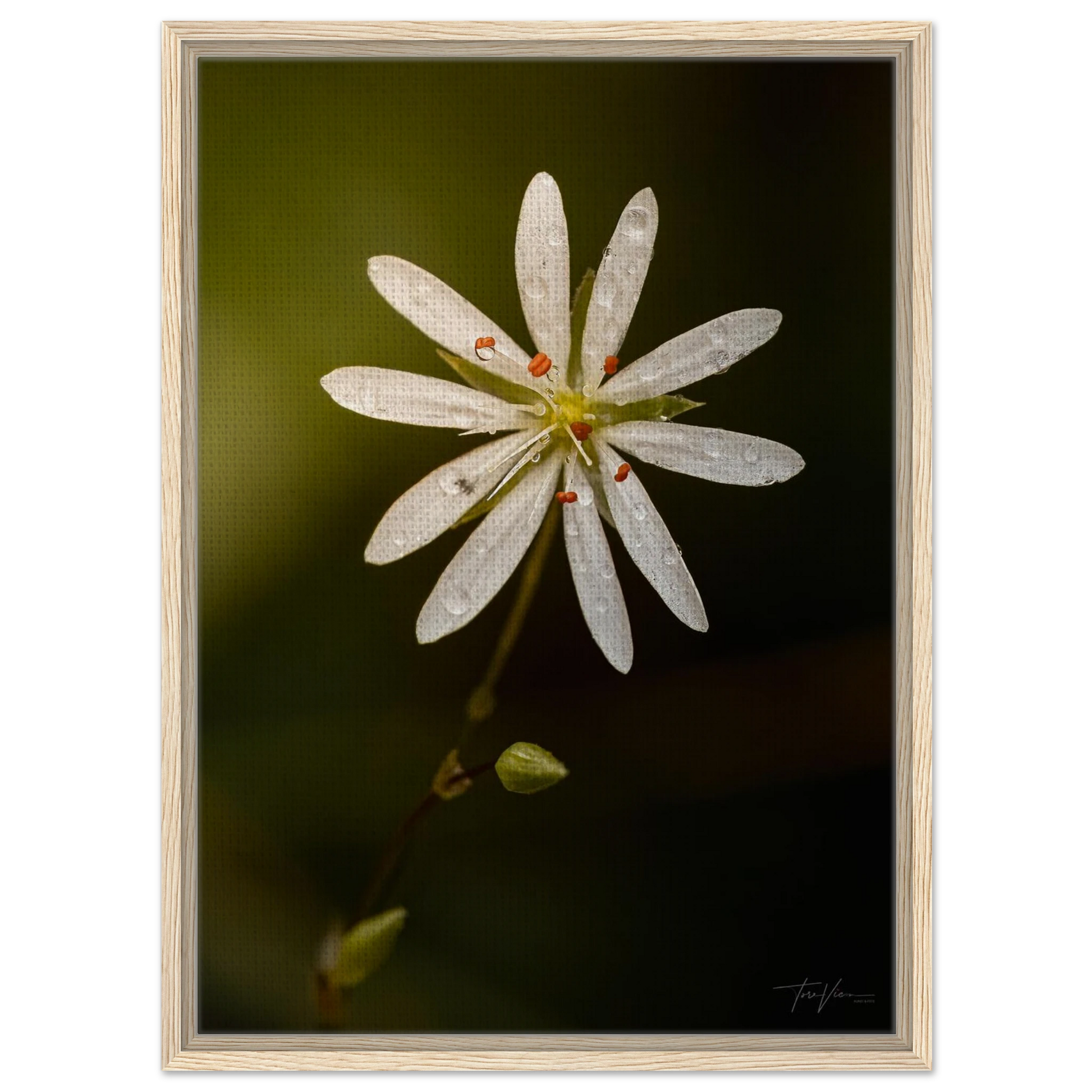 9ccb1047-3e15-4e8f-8f74-b46248ca09e8