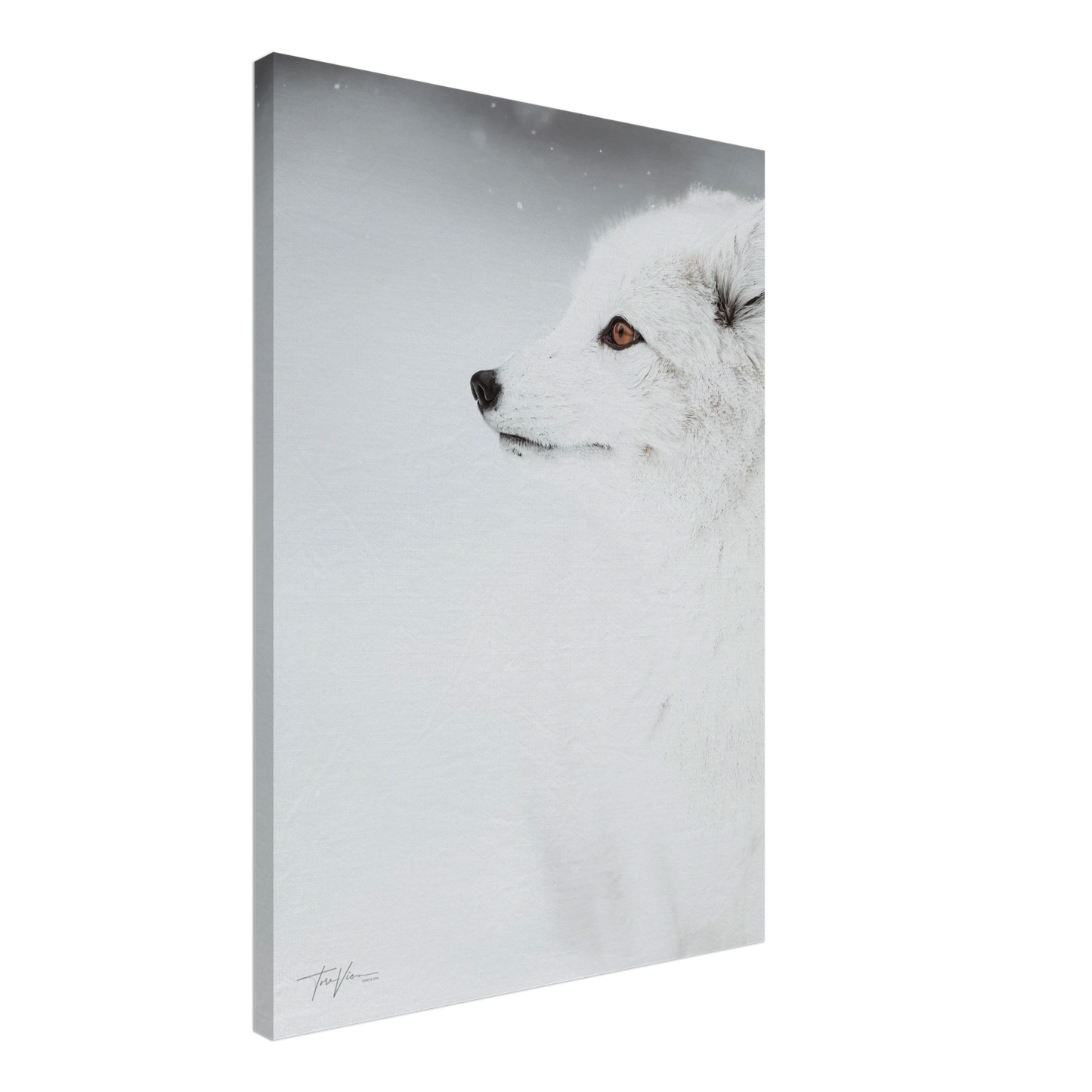 9dc78f2d-67c0-4153-9e41-68bf6f899d2e