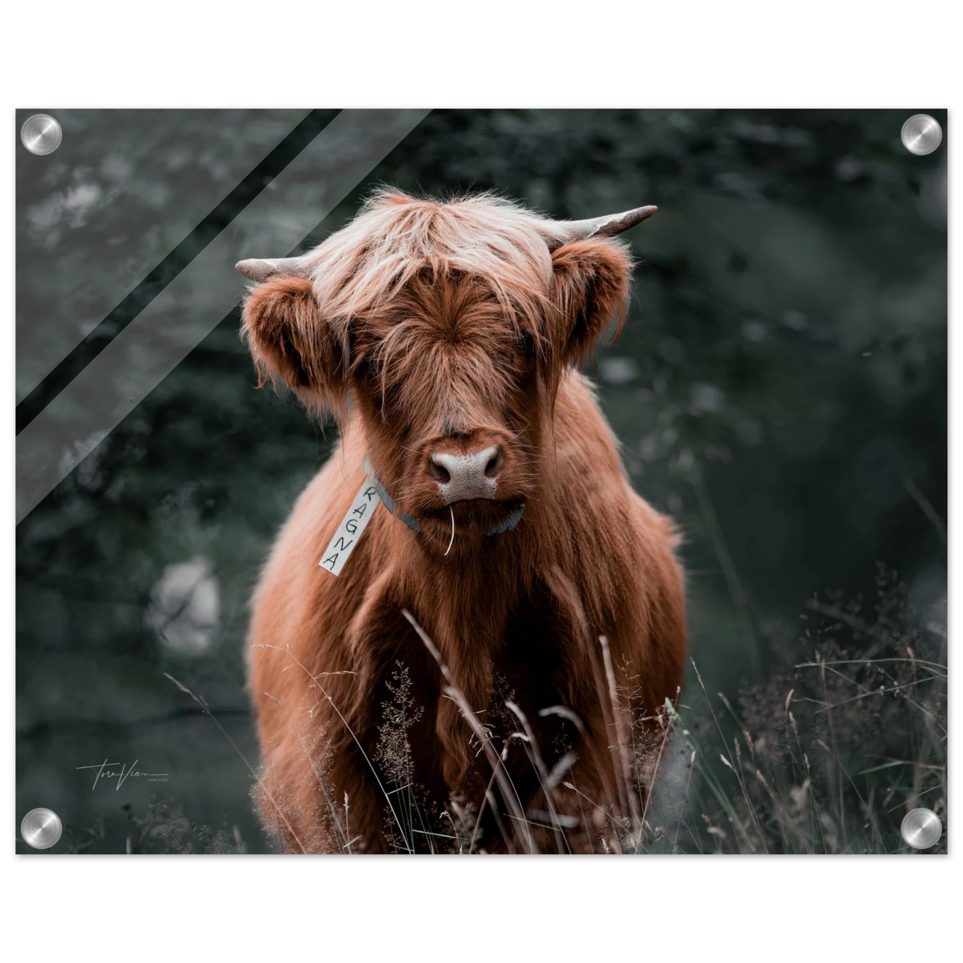 9ebbb0fb-3a16-4c81-864e-6837f20dabe3